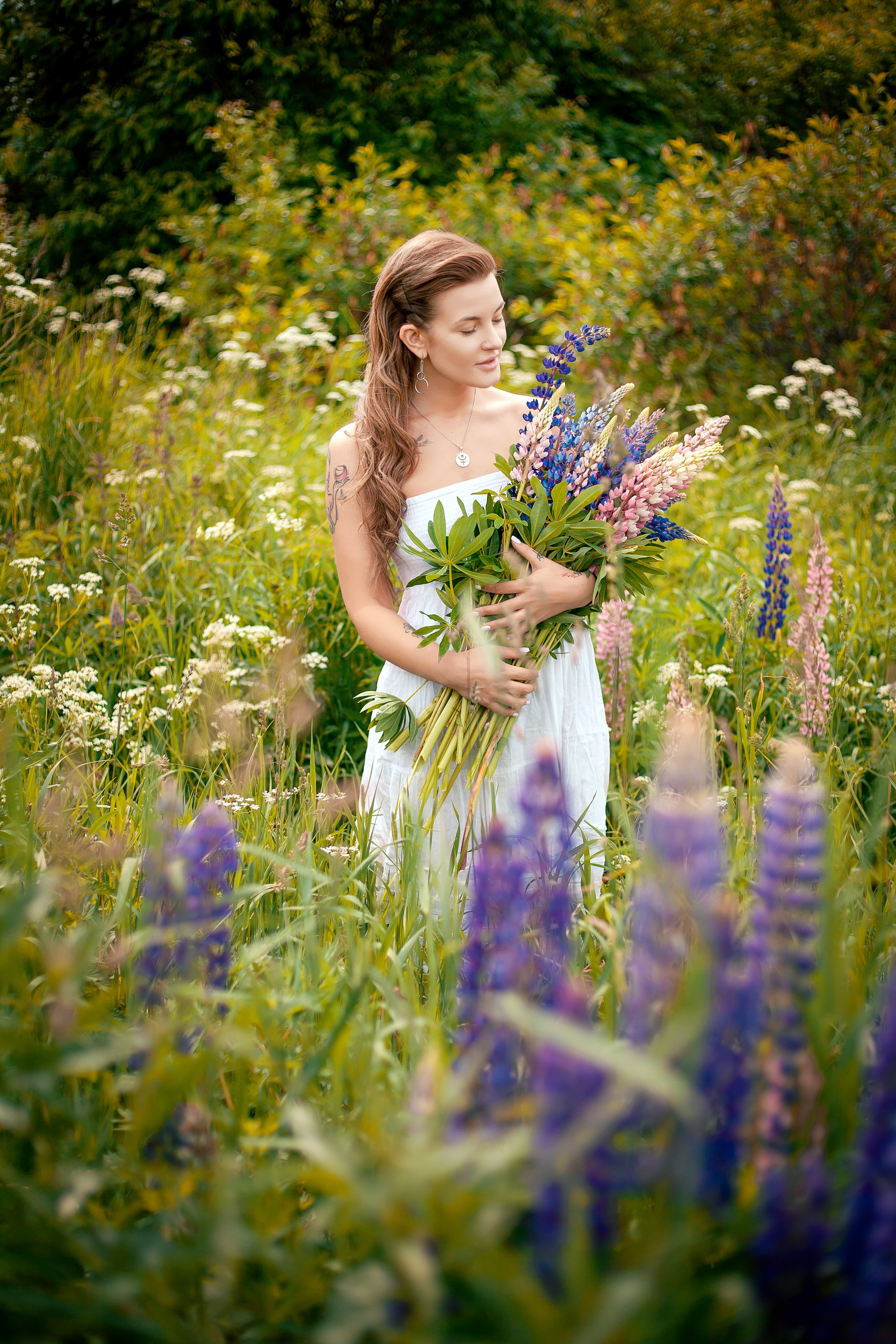 Люпины. Фотограф Мария Кольцова