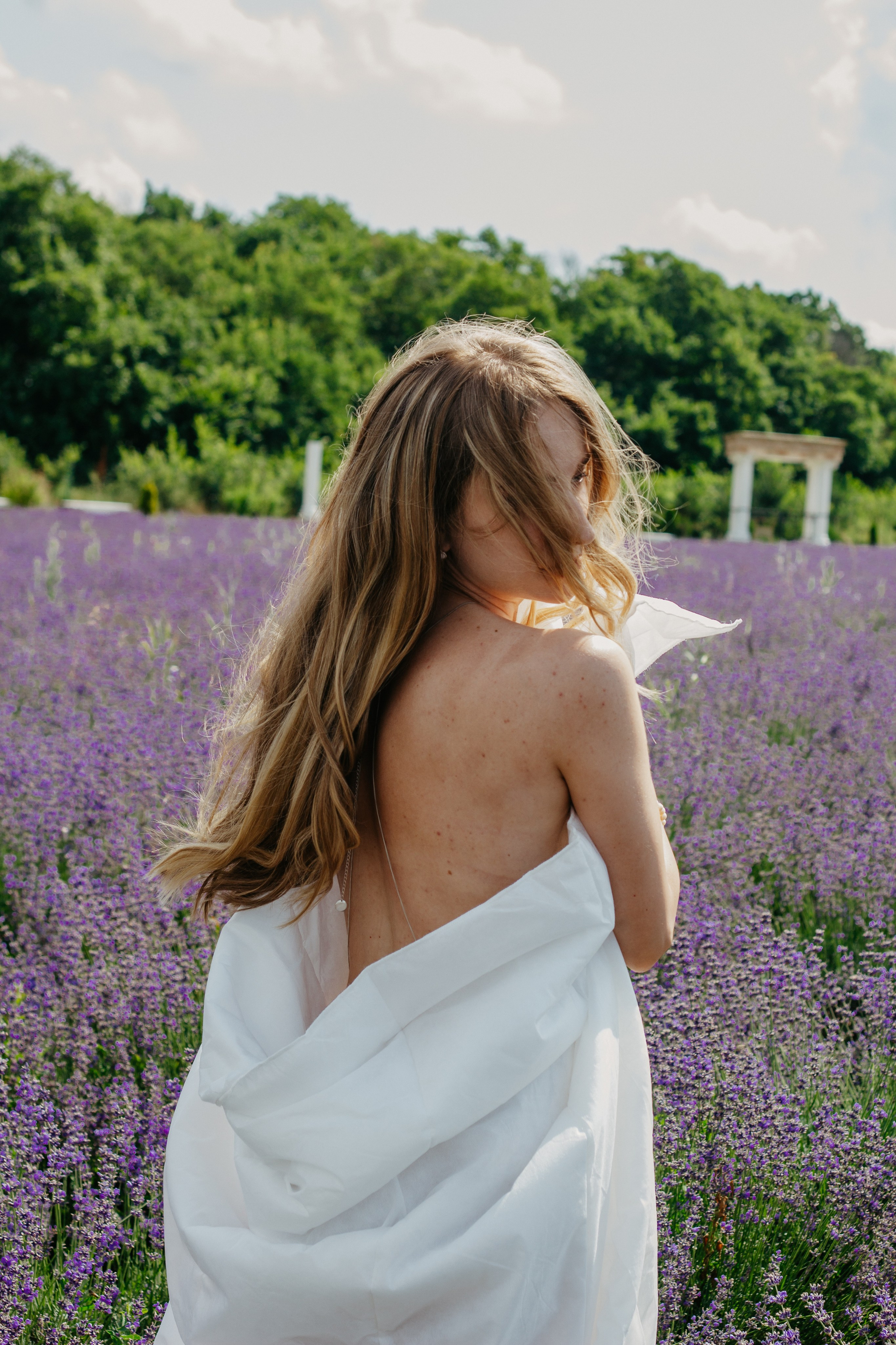 Лаванда. Главная