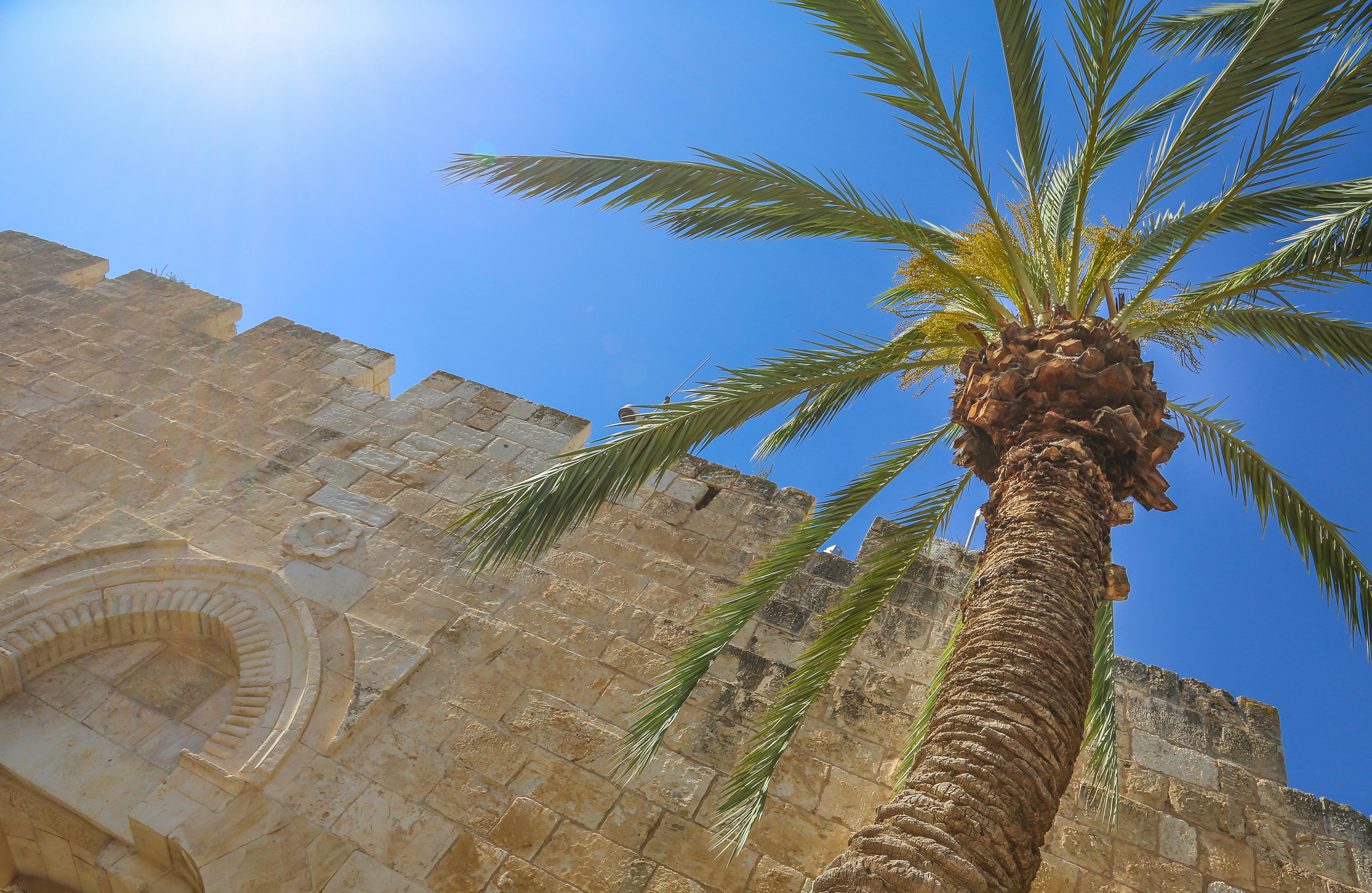 Израиль: Иерусалим. Дарья Письменюк / Darya Leitstern — фотограф, музыкант, журналист, путешественник