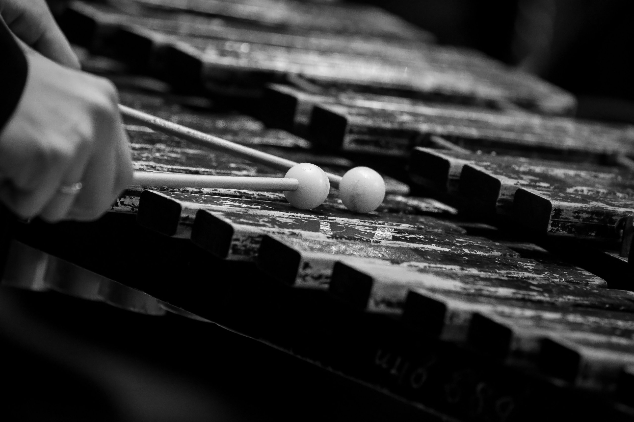 Концерт «Русские композиторы-сказочники». Дарья Письменюк / Darya Leitstern — фотограф, музыкант, журналист, путешественник