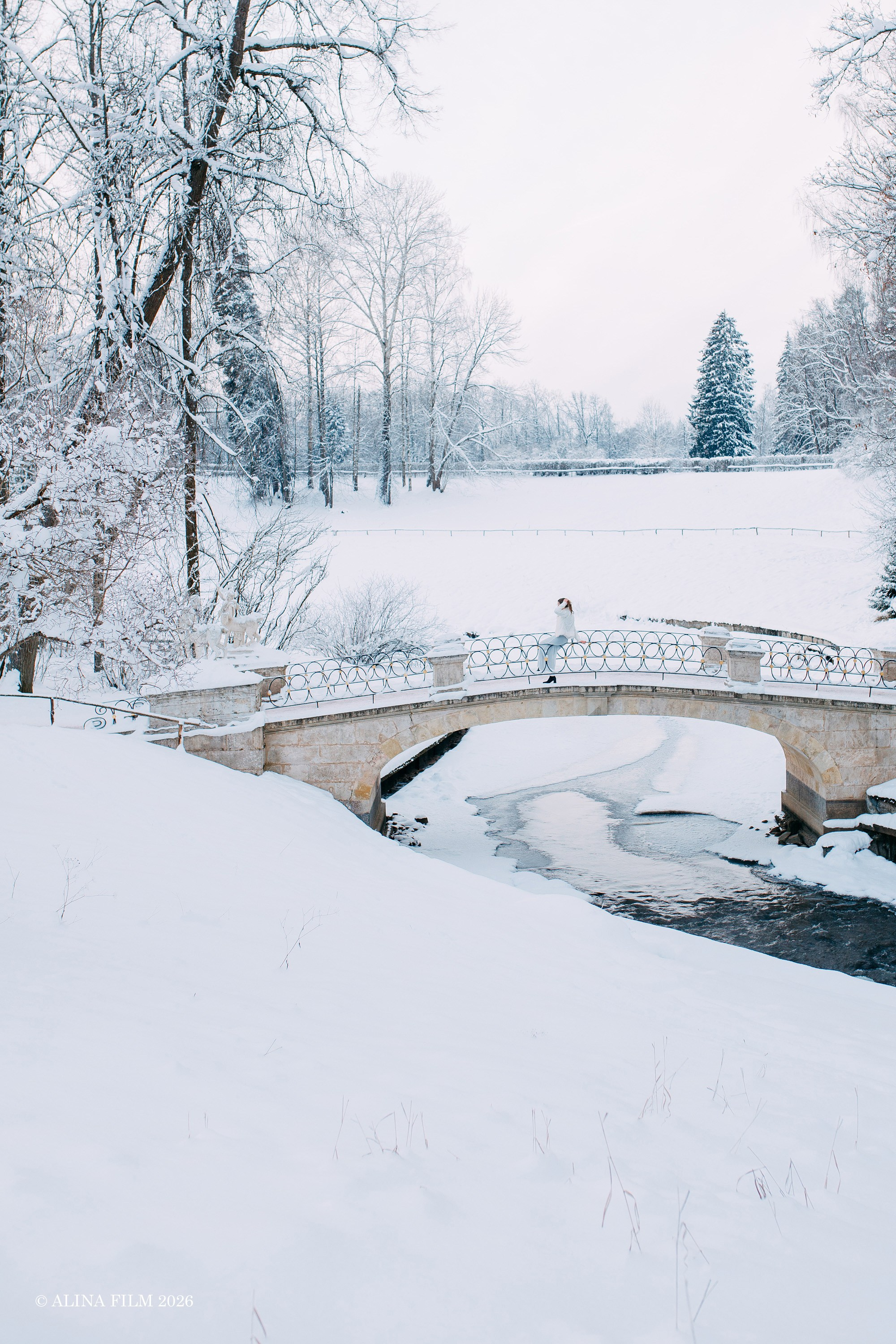 Фотопрогулка в снежном Павловске. Фотограф в Санкт-Петербурге Alina Film