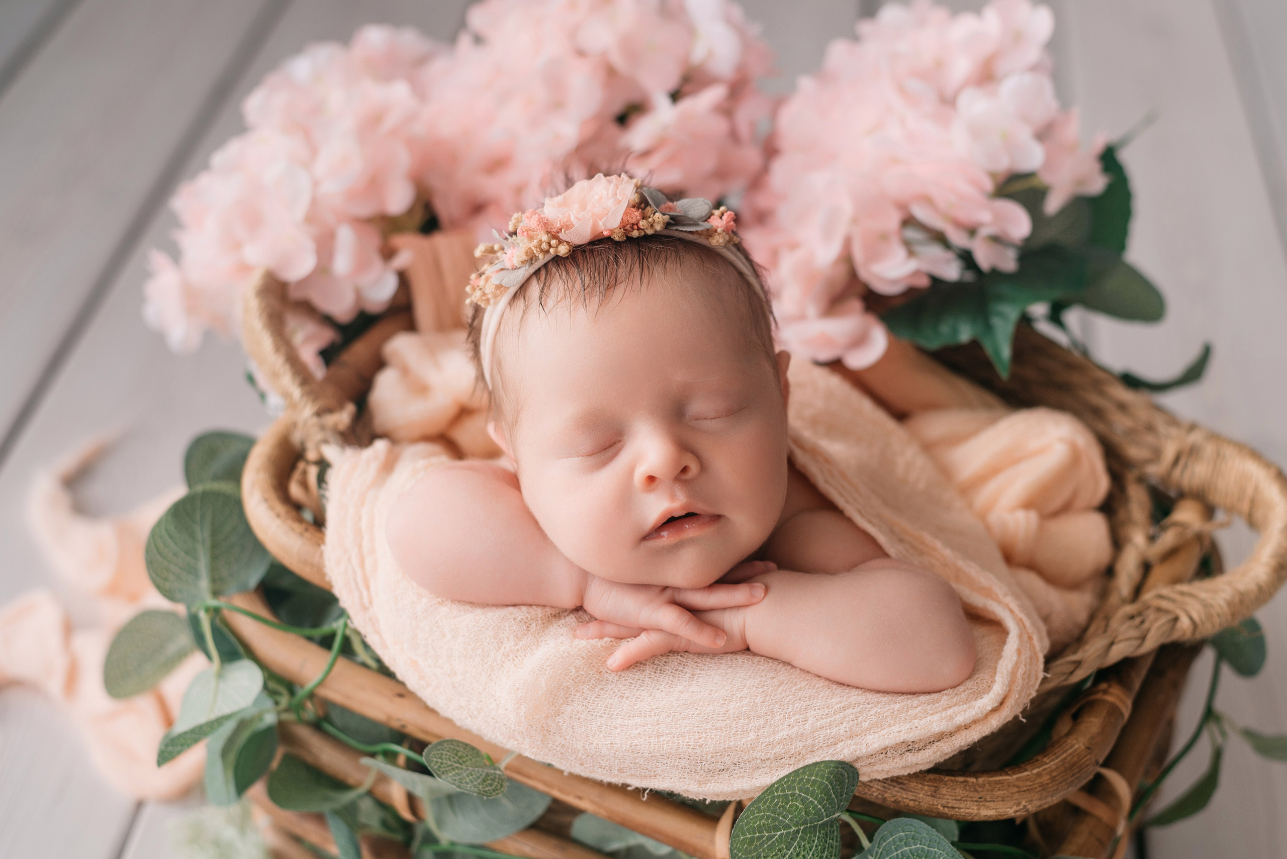 Софа. Фотограф новорожденных Белгород