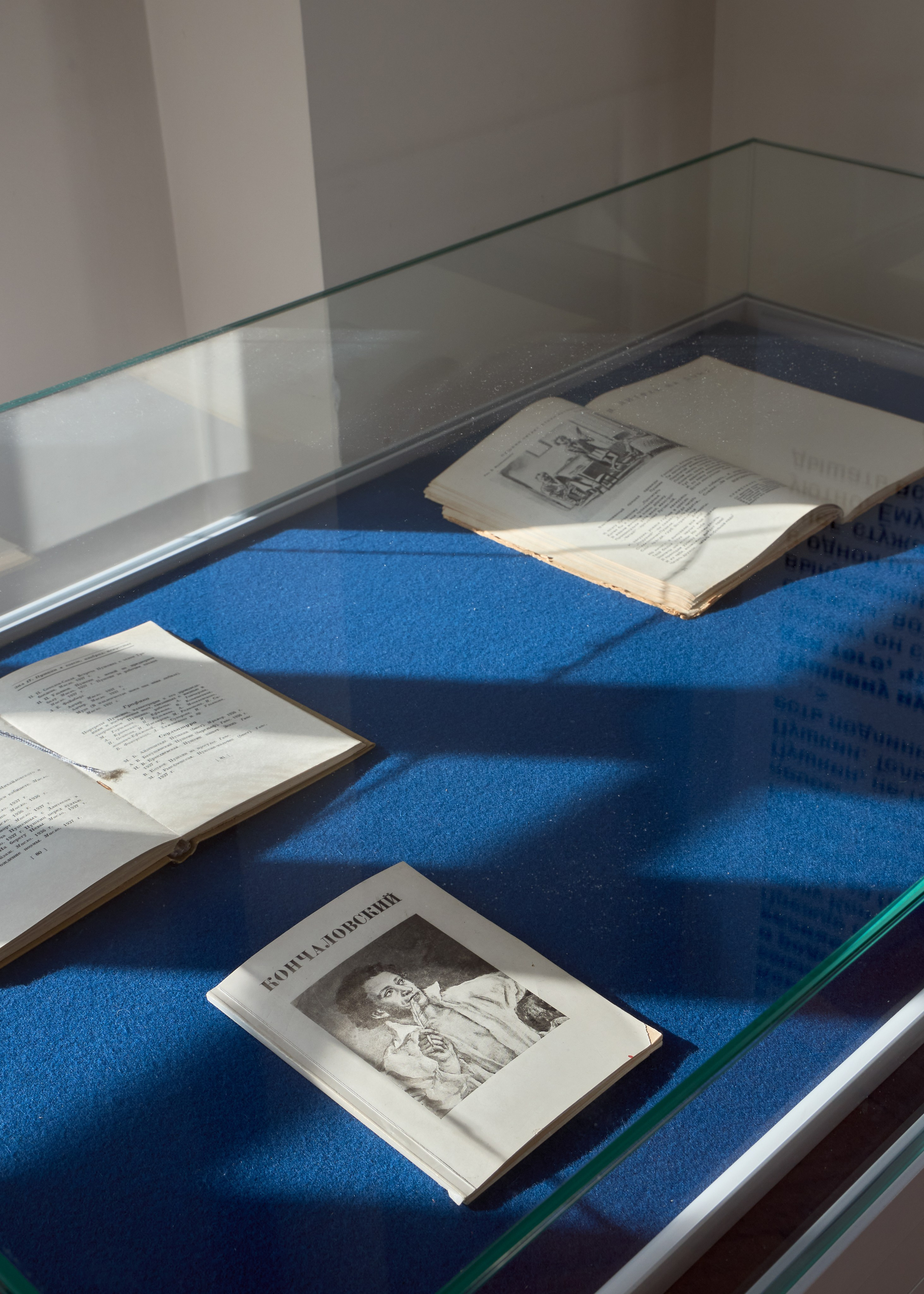 Победа над солнцем: А. С. Пушкин и русский авангард. Mikhail Kurganov