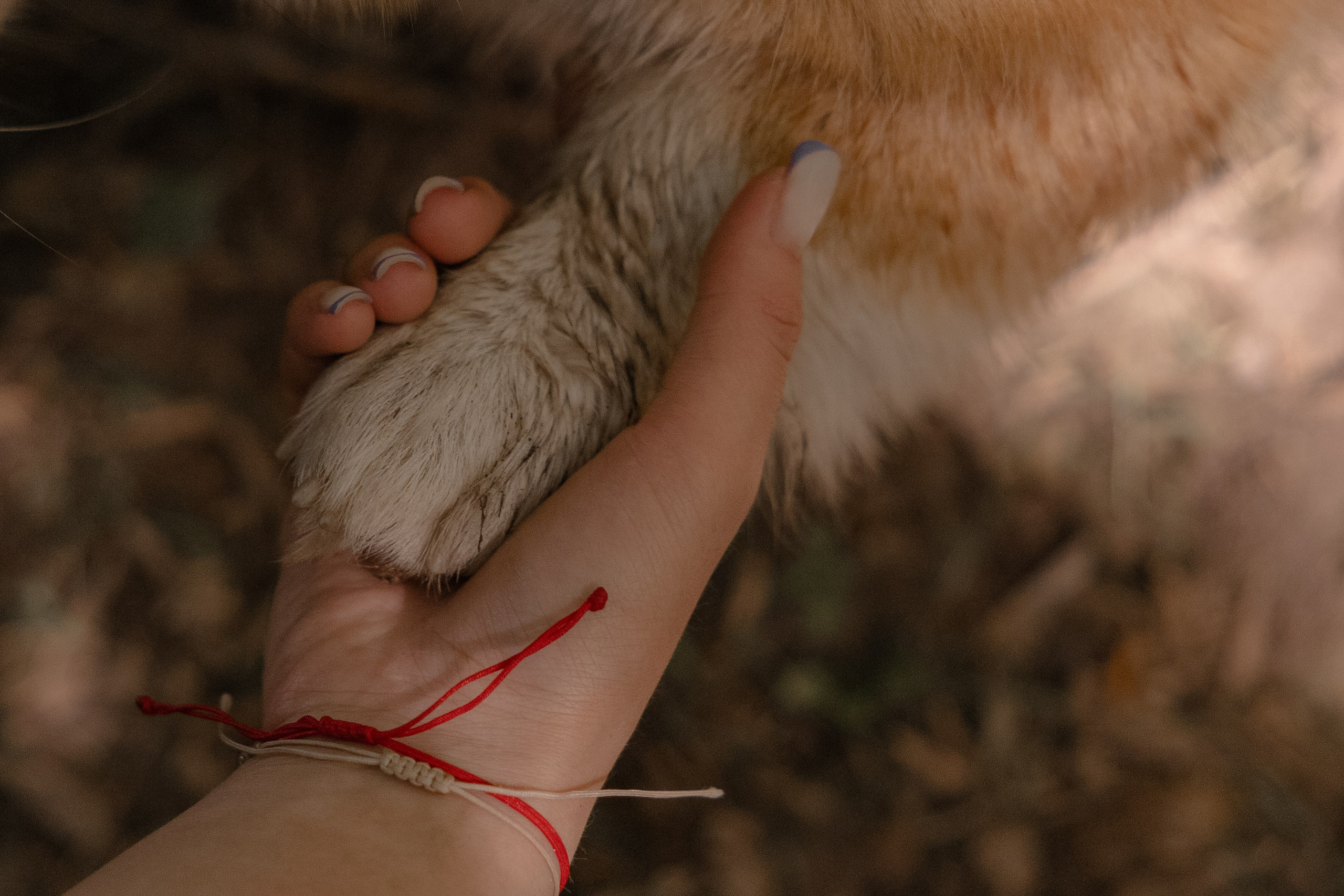 Love Story. Фотограф Рузанна — Красноярск