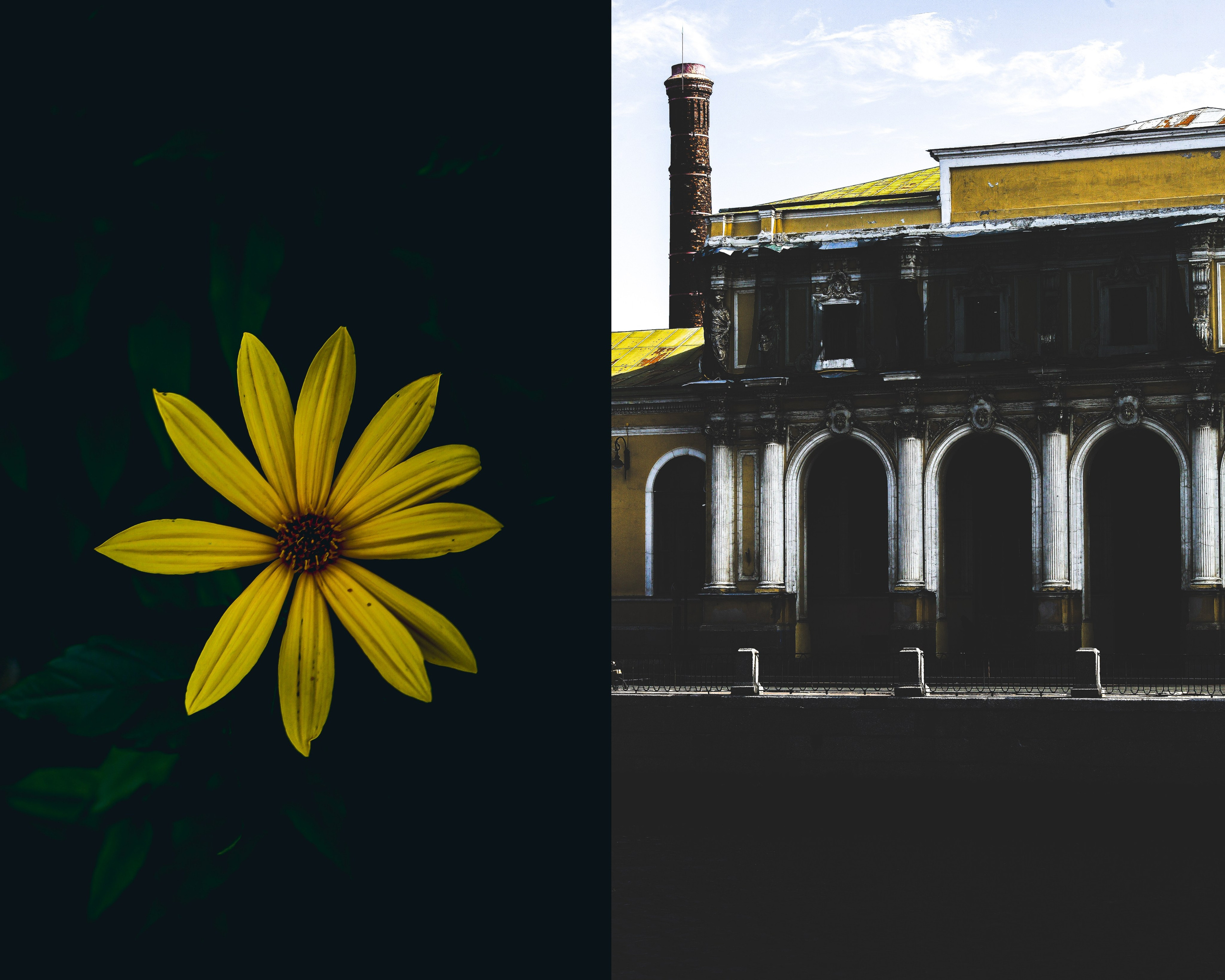 Природа &. Фотохудожник в СПб