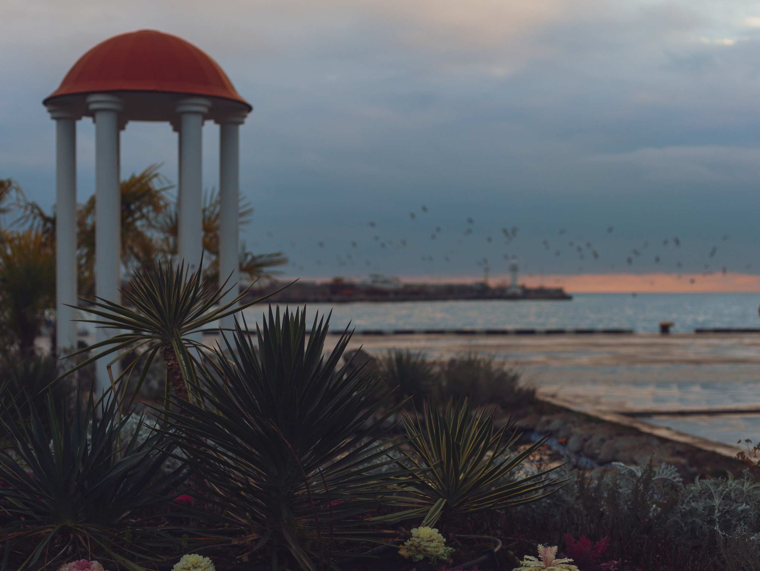 Природа &. Фотохудожник в СПб