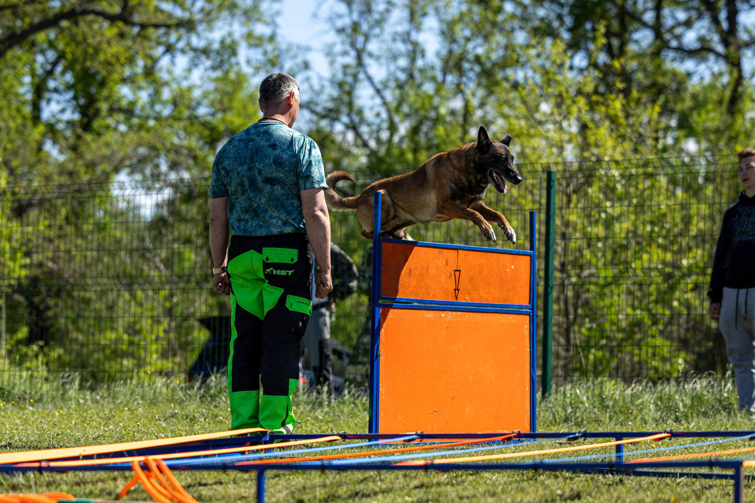 Испытания по мондьорингу в Нижнем Новгороде. Фотограф-анималист Анна Маринич
