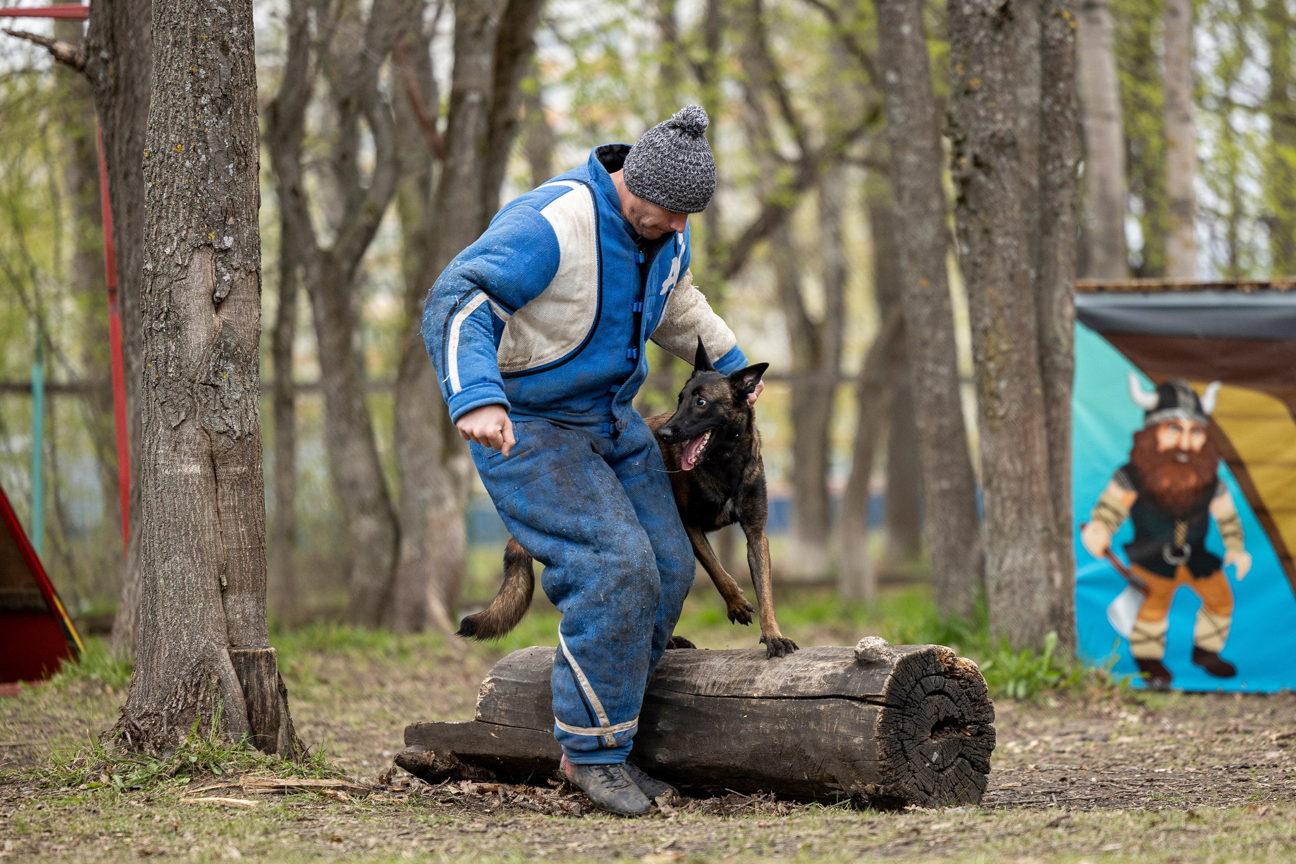 Квалификационные состязания по мондьорингу г. Вологда 11.05.24. Фотограф-анималист Анна Маринич
