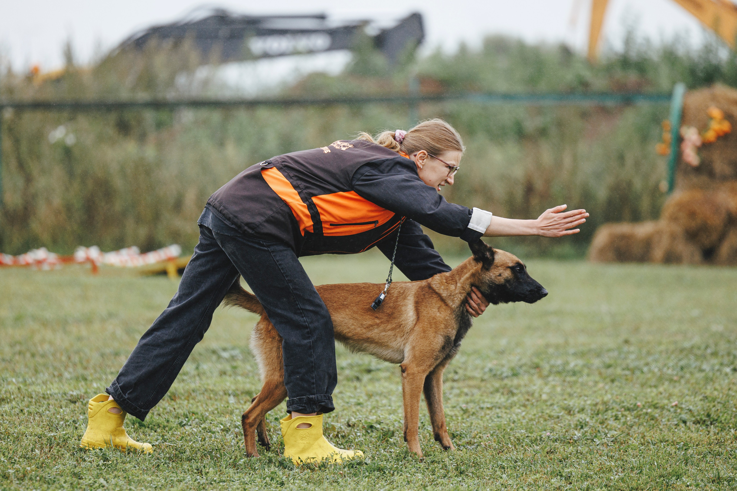 08.08.25-10.08.25 ЧР по мондьорингу г. Вологда. Фотограф-анималист Анна Маринич