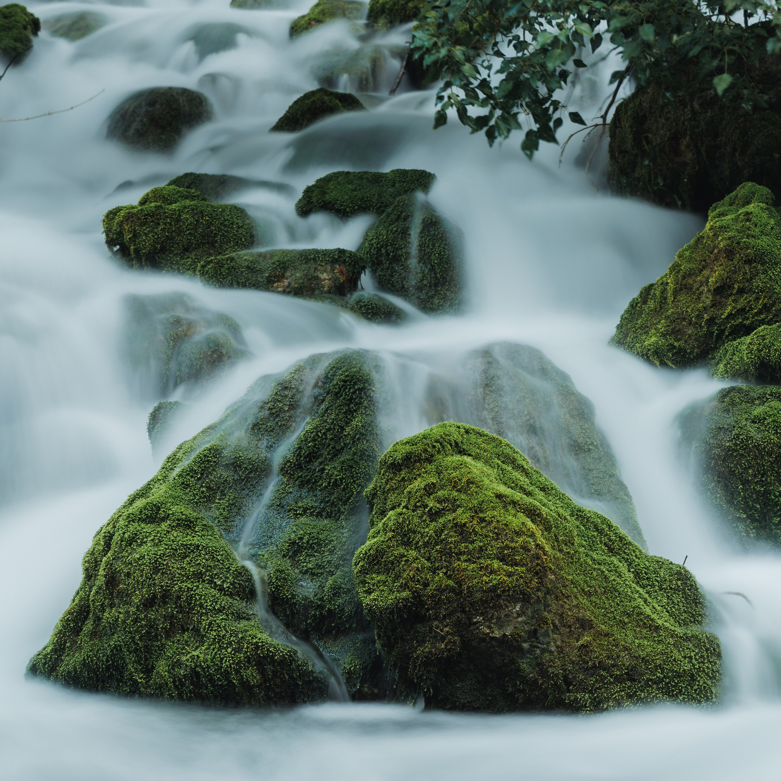 Nature. Артем Корнев Фотограф
