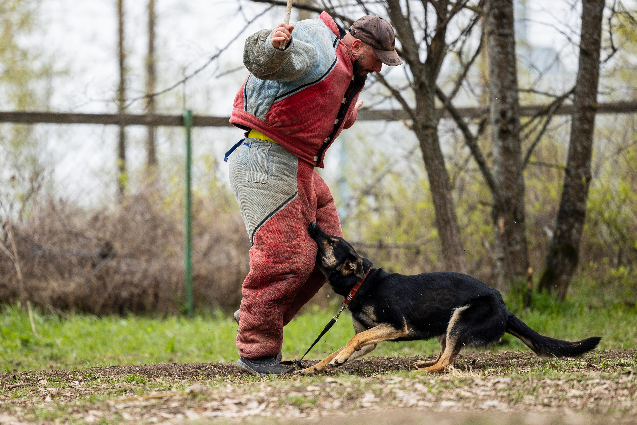 Квалификационные состязания по мондьорингу г. Вологда 11.05.24. Фотограф-анималист Анна Маринич
