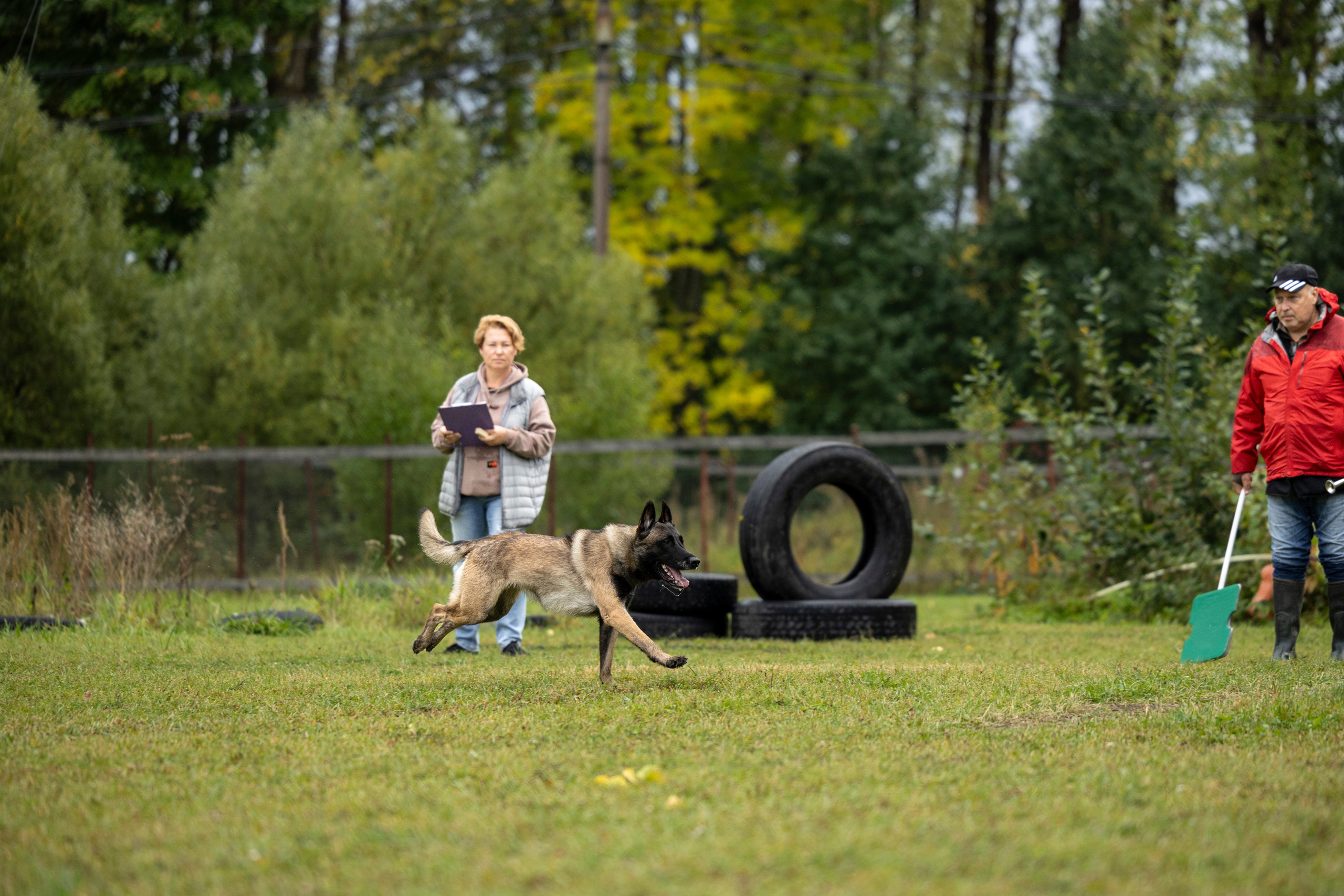 Испытания по Мондьорингу г. Пушкин. Фотограф-анималист Анна Маринич