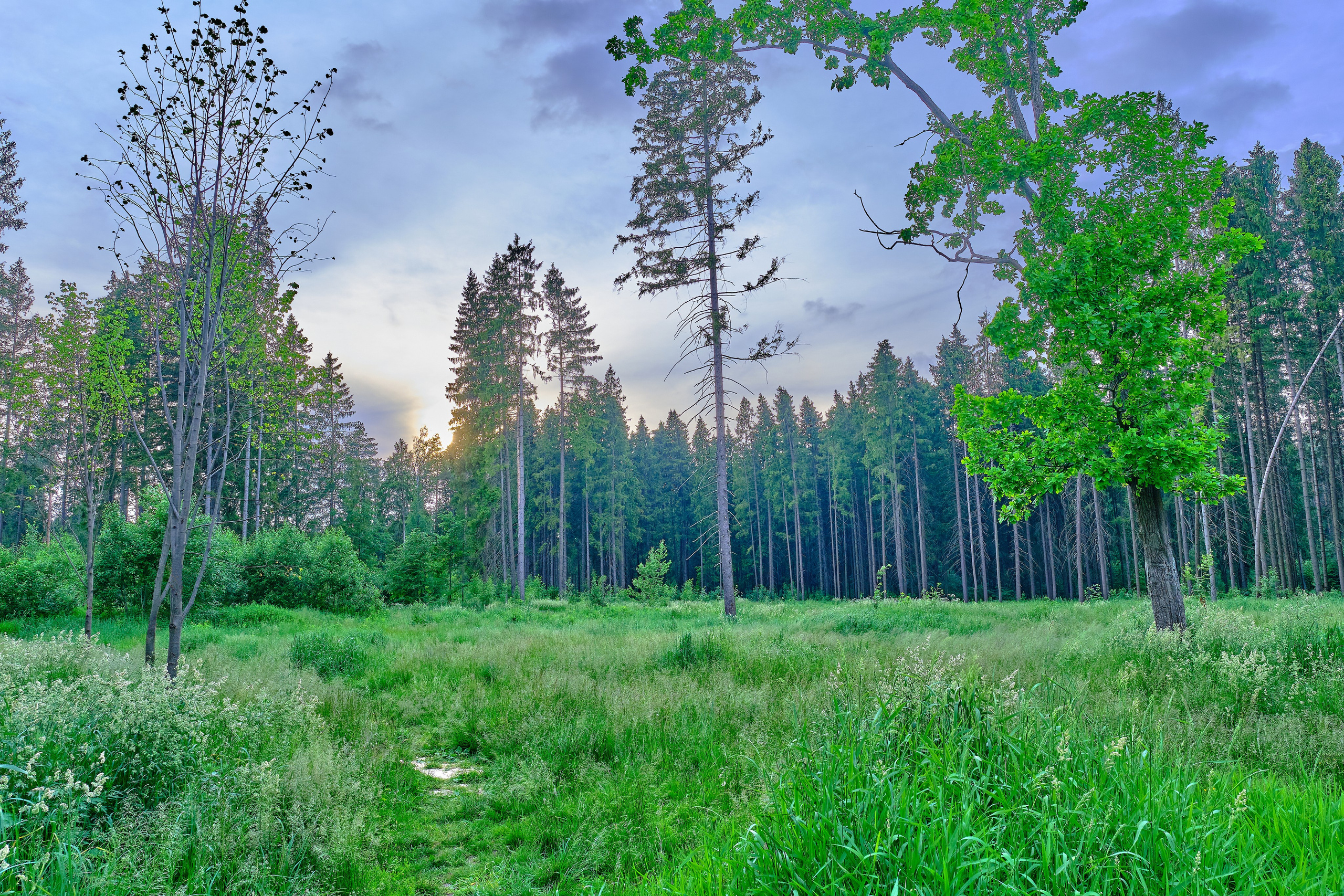 Фотоальбом с разными съёмками