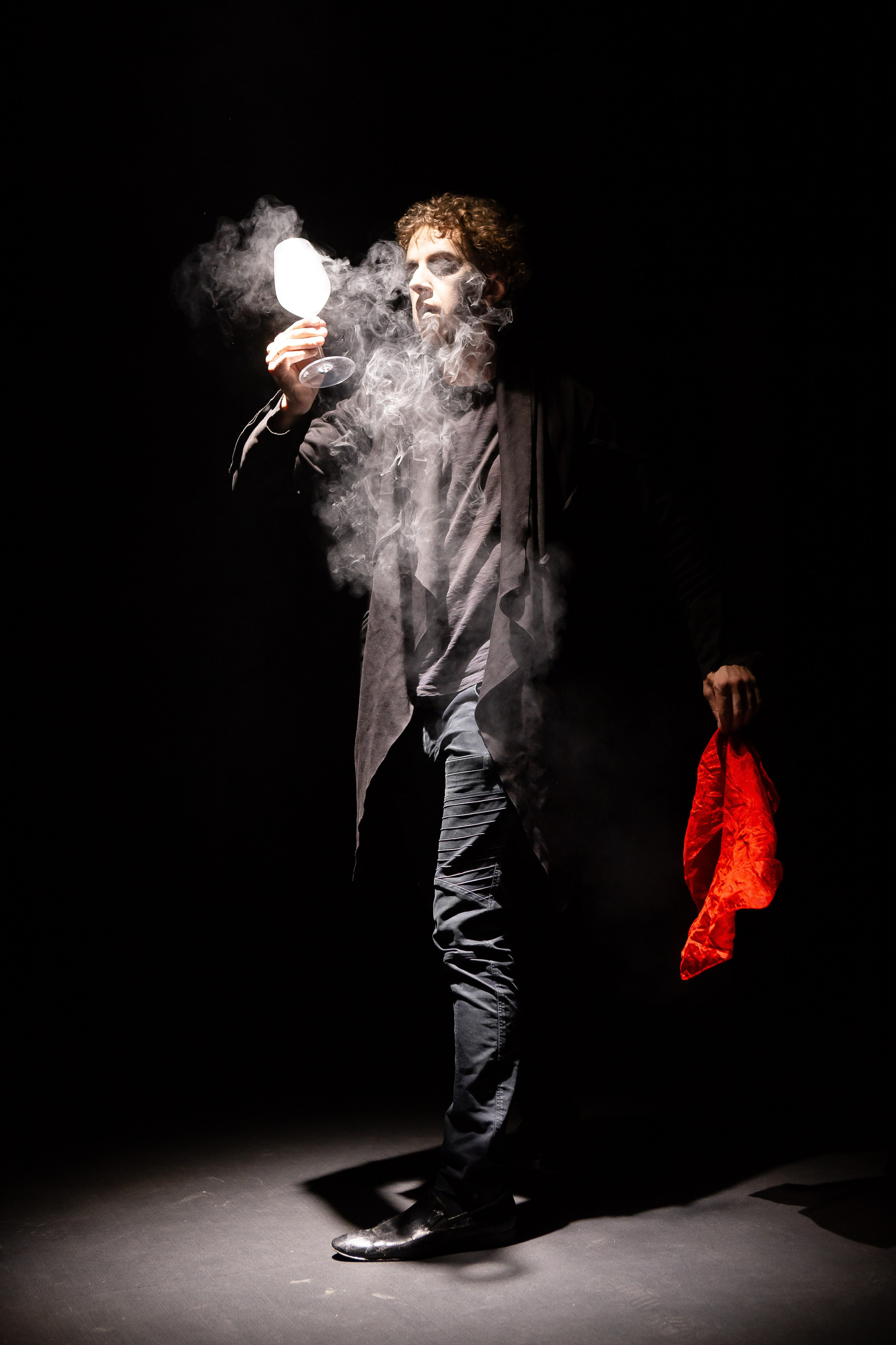 Цирковое шоу. Видеограф Добромыслов