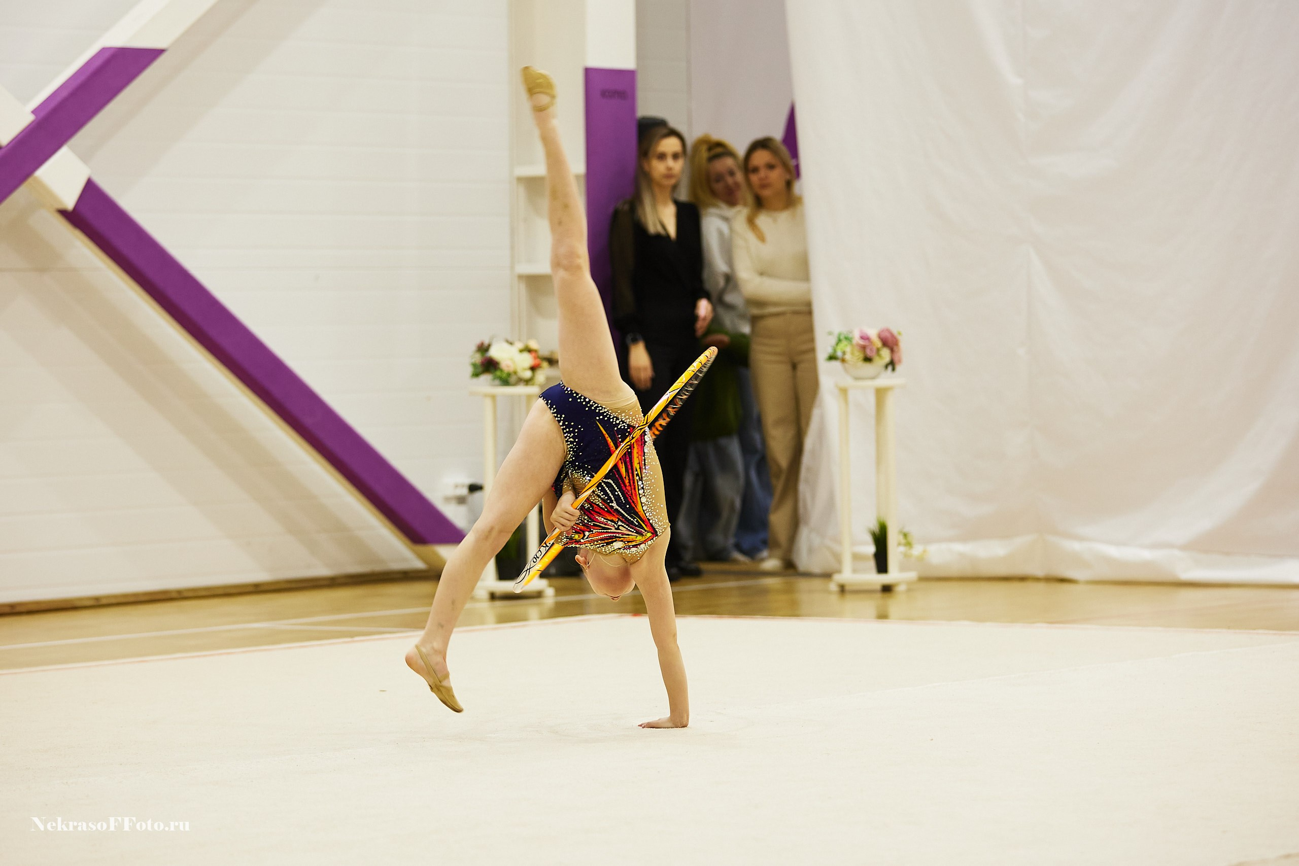 Художественная гимнастика. Спортивный фотограф Некрасов Денис