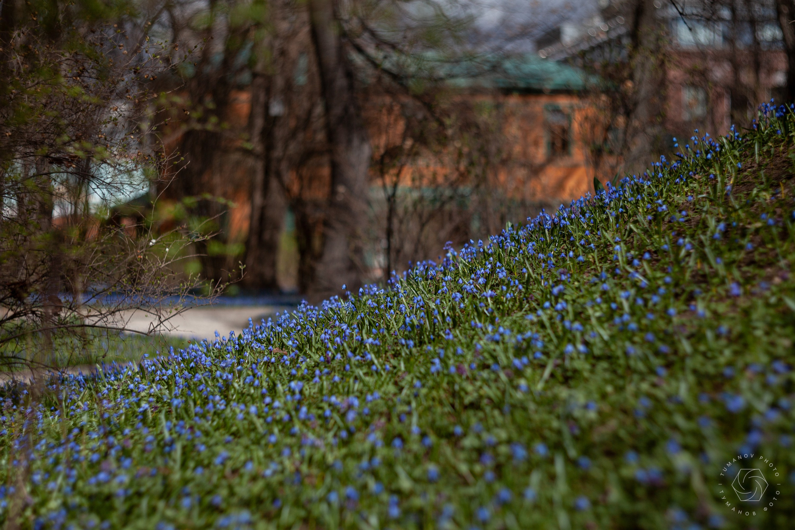 Усадьба Л. Н. Толстого в Хамовниках. Туманов Виталий — фотограф Москва