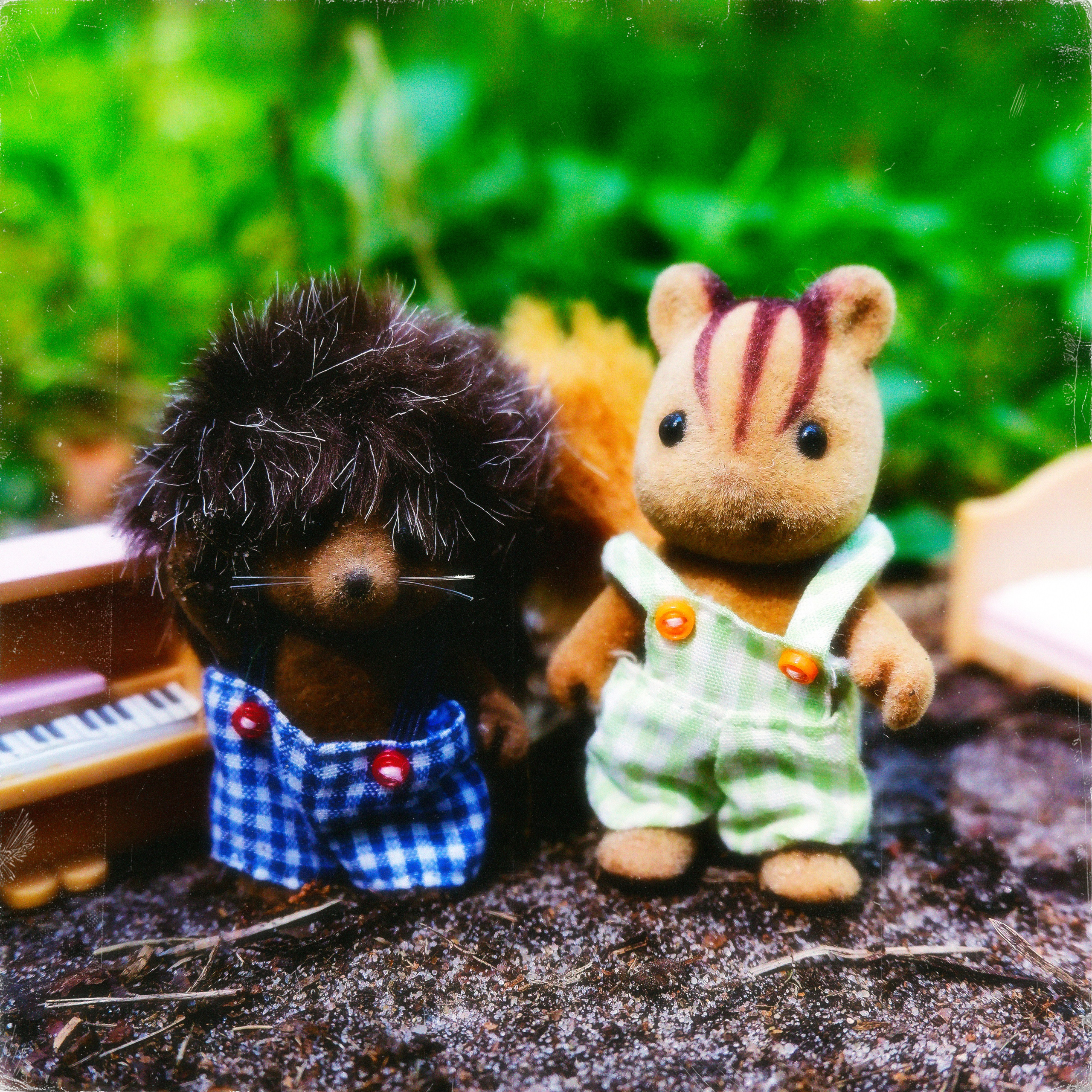 TOYS. ANNA — PHOTOGRAPHER