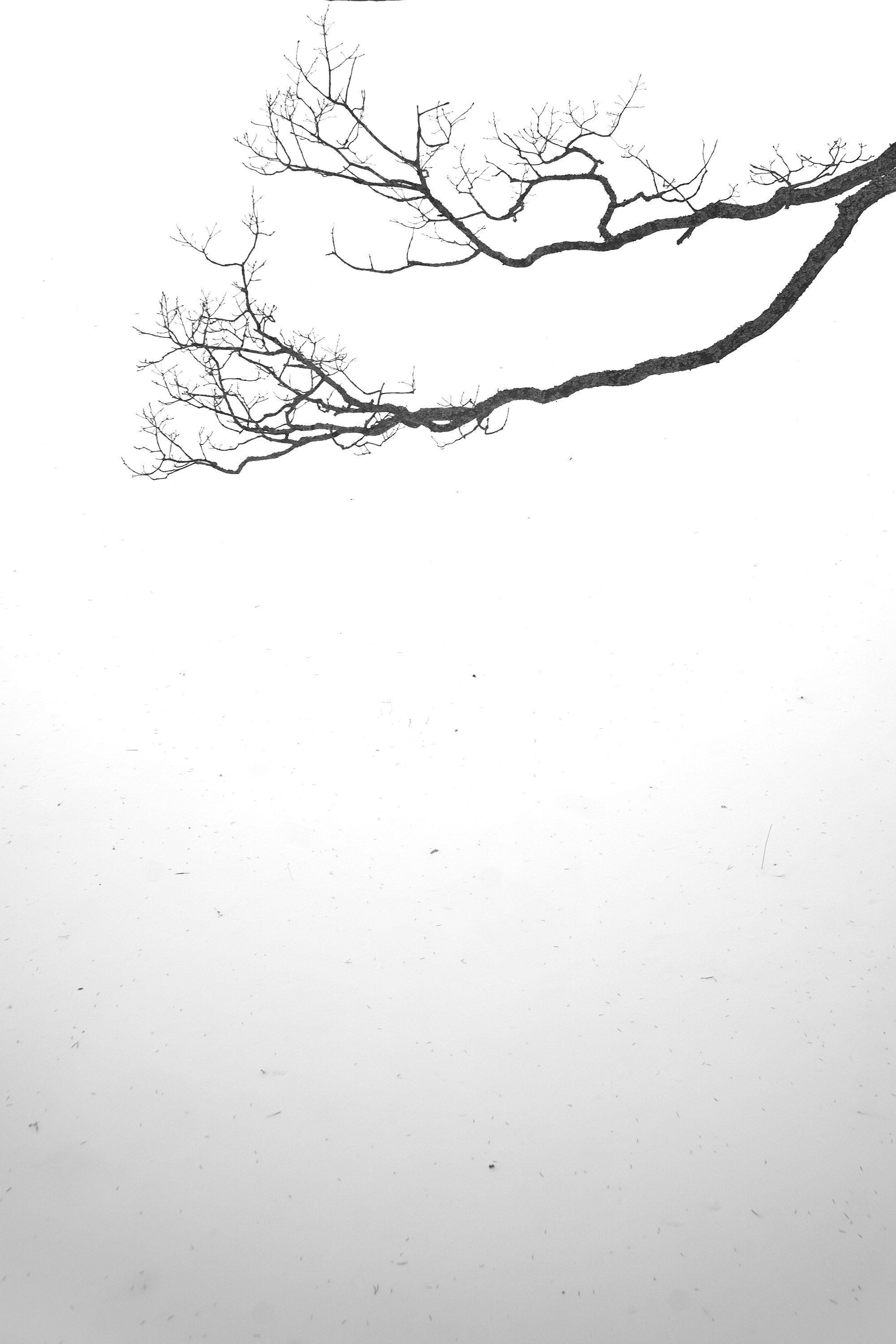 Минимализм 23-24г. Фотограф и оператор мероприятий, концертов и портретов в городе Москва