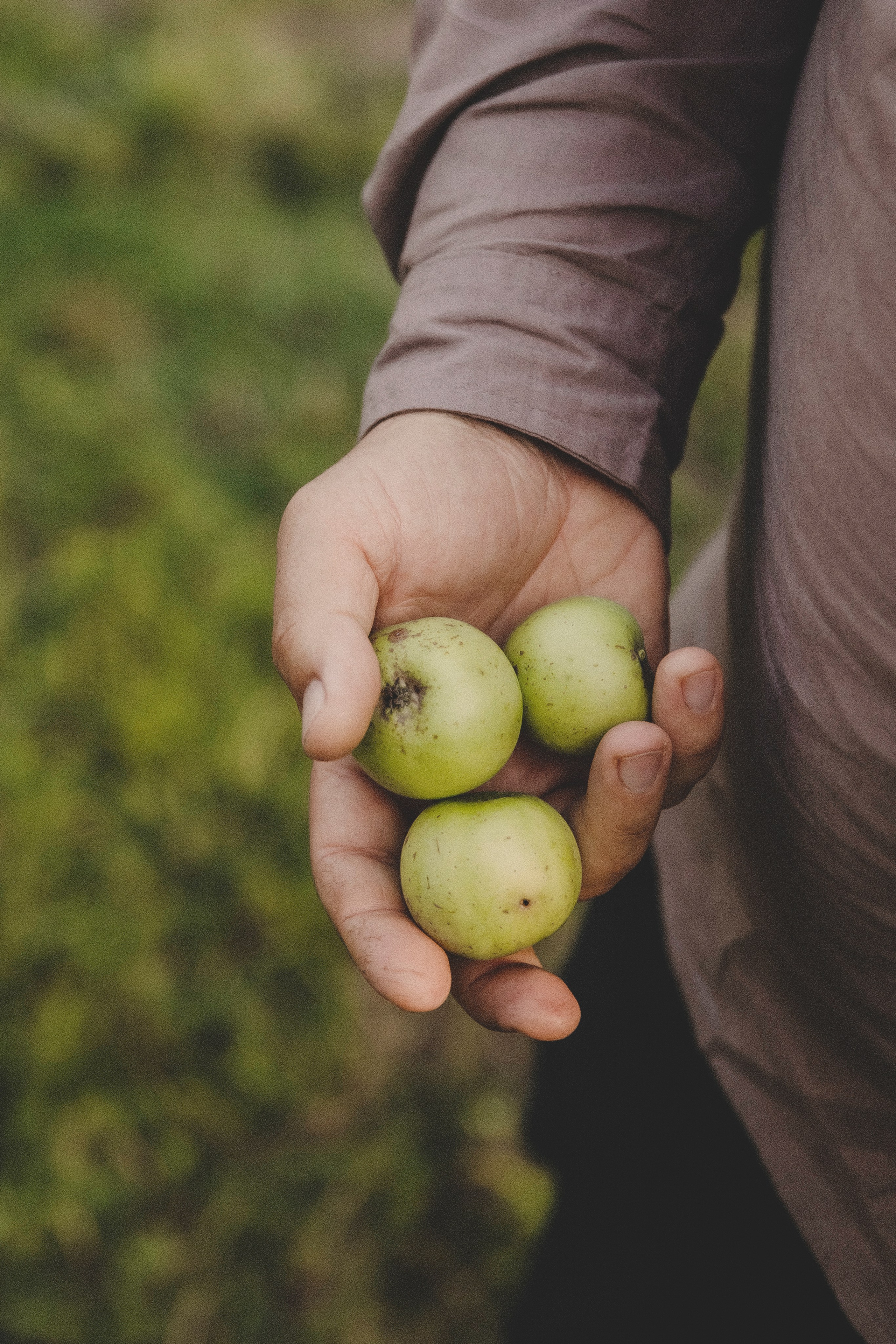 Семья Татьяны. Свадебный и семейный фотограф Колоскова Мария (Сочи и весь мир)
