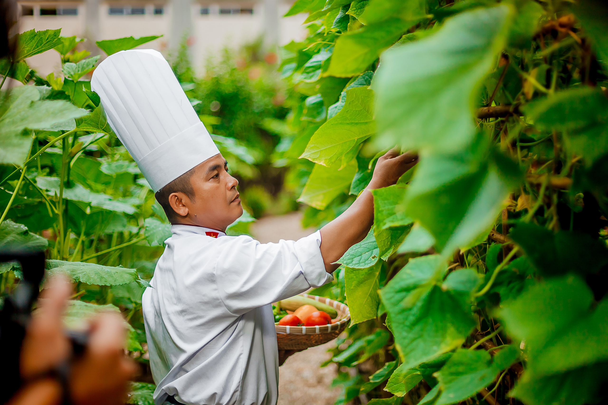 Репортажный фотограф Ялта. Репортажный фотограф Ялта