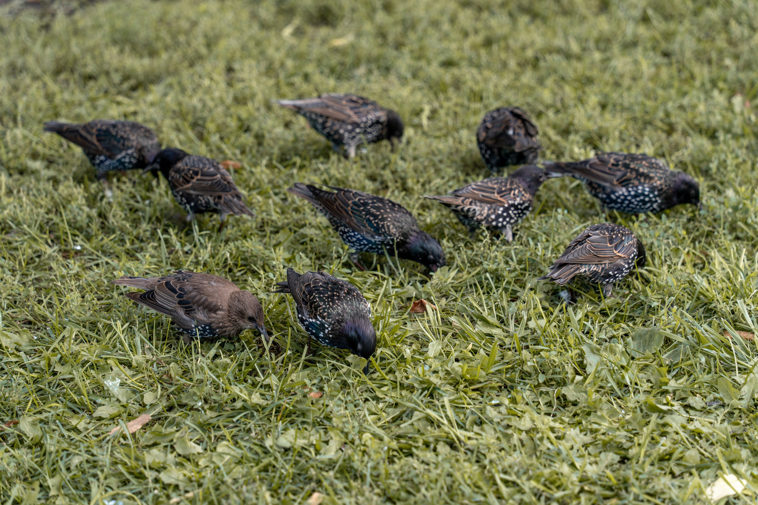 20250808 Прогулка с сыном. Дмитрий Ремизов. Фотография, как хобби