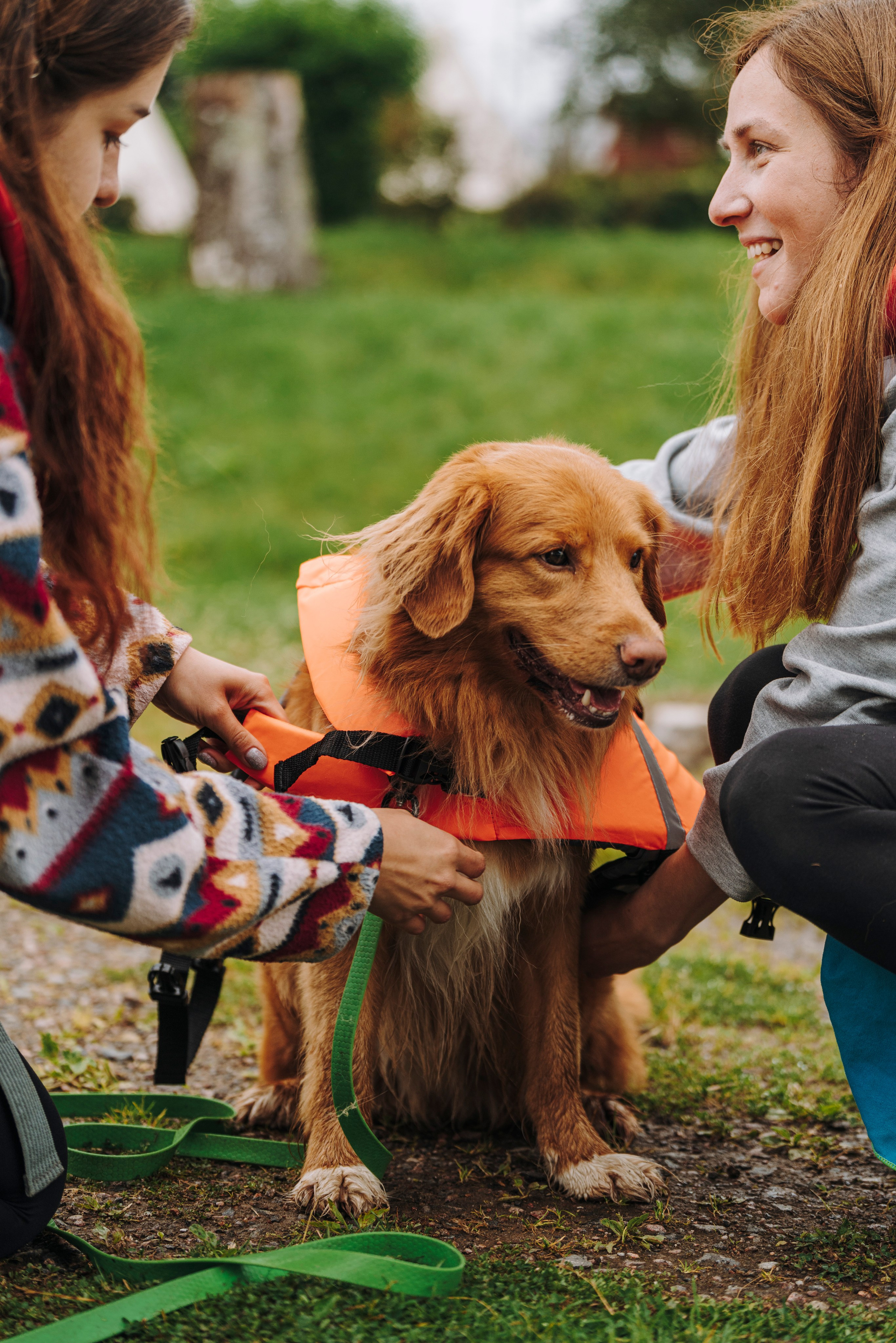 Катание на сапах с собаками. Фотограф анималист в Спб недорого Олеся Майорова