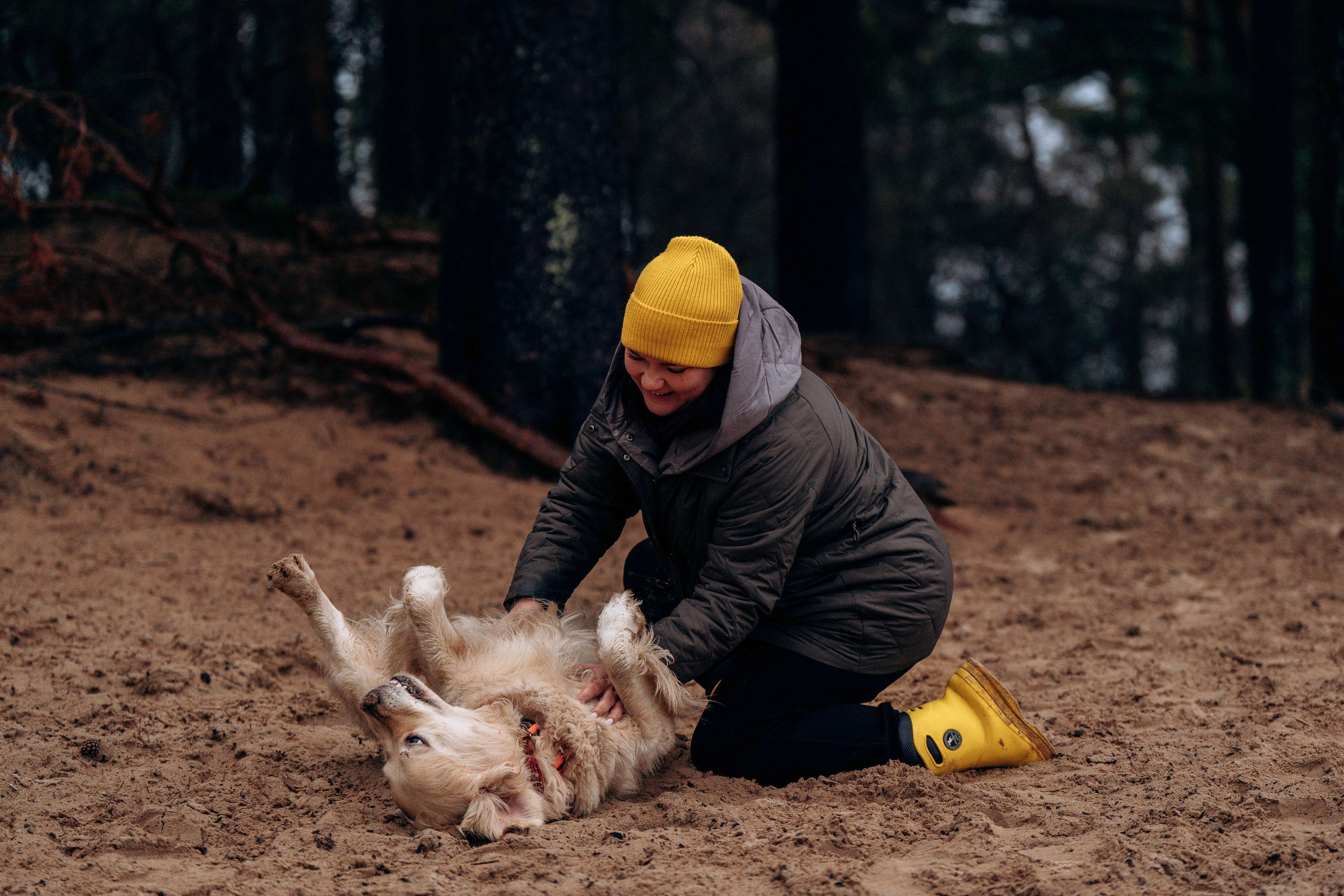 Асти, Крис и Александра. Фотограф анималист в Спб недорого Олеся Майорова