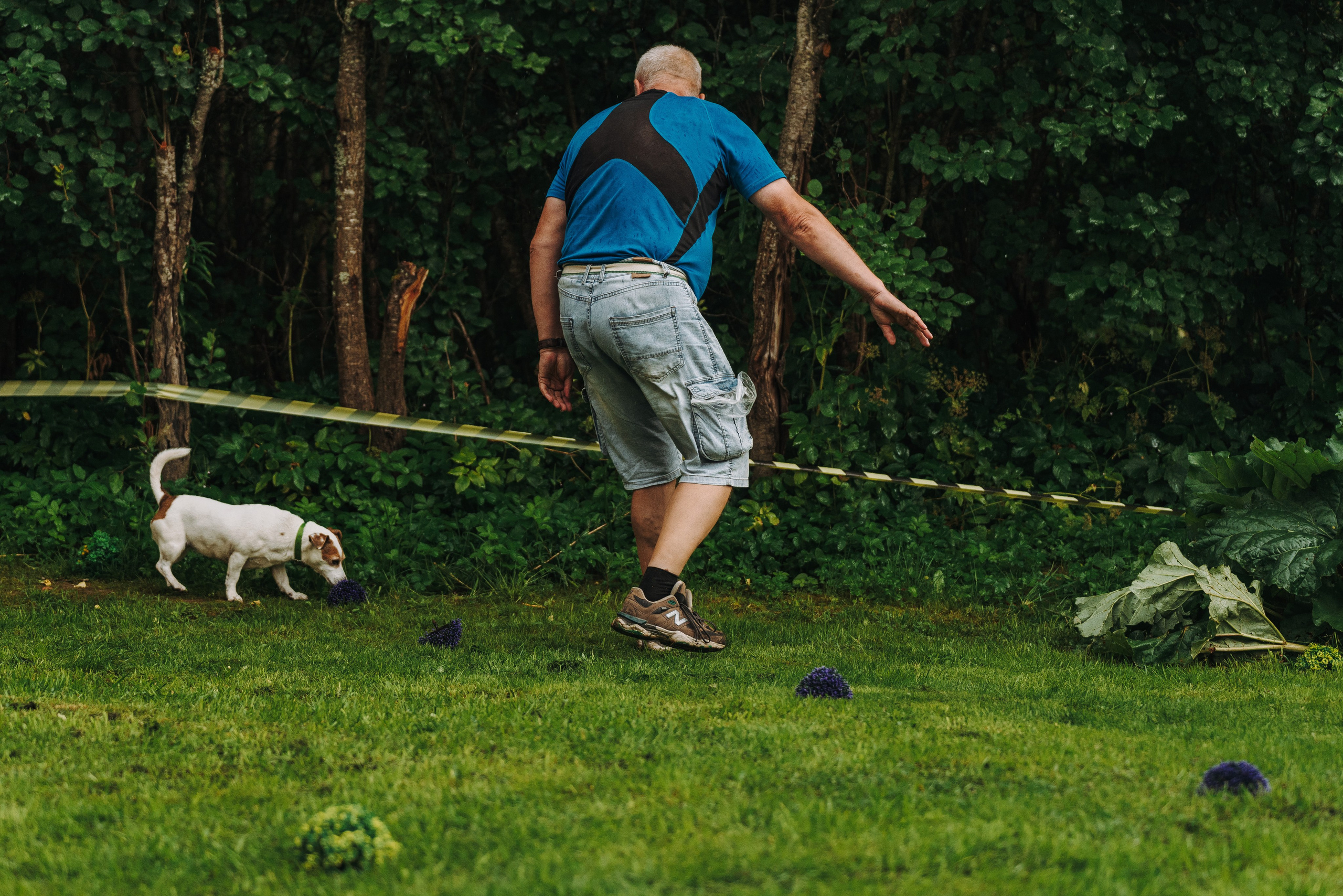 Соревнования по ноузворку в Новожилово. Фотограф анималист в Спб недорого Олеся Майорова