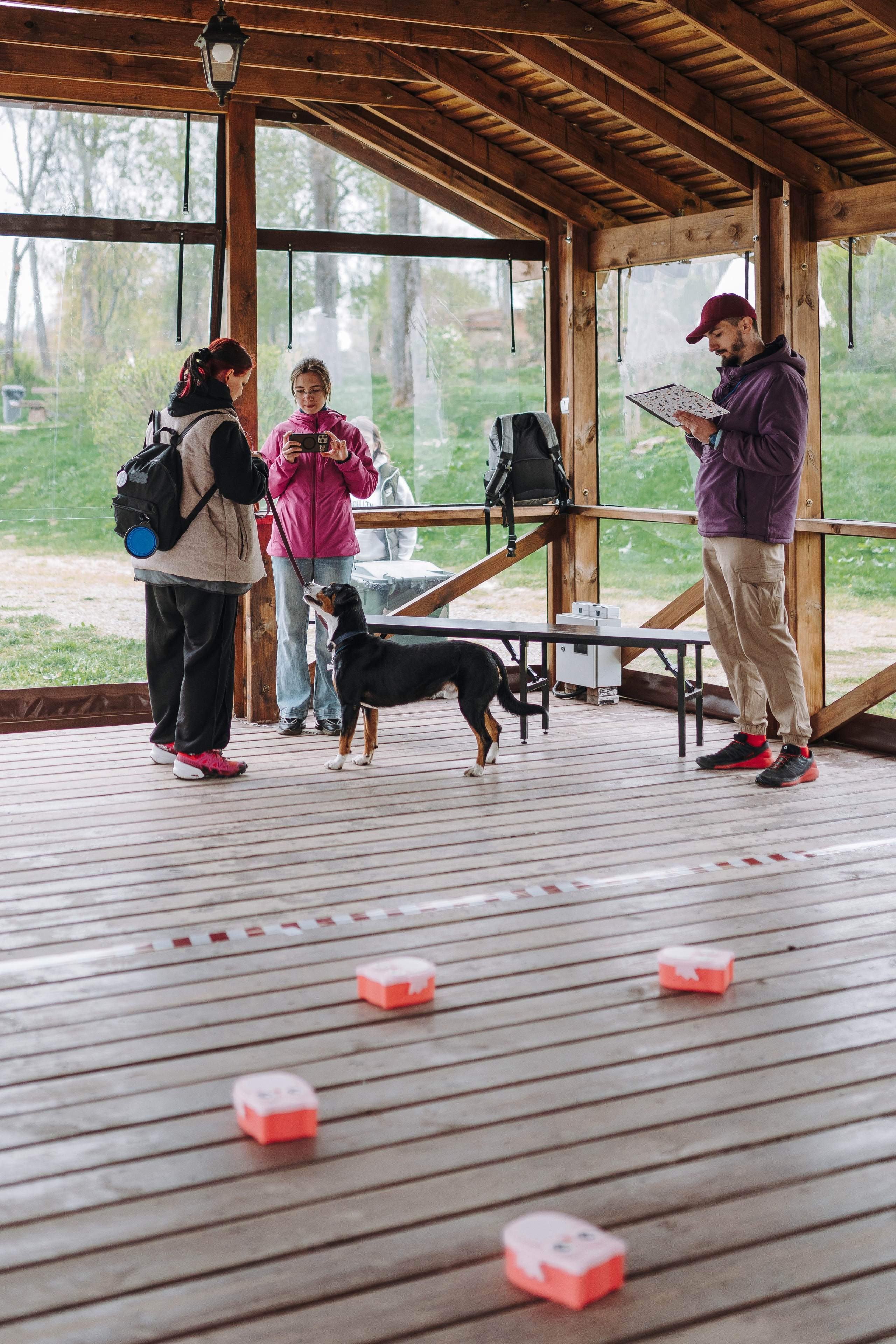 Соревнования по ноузворку в Лосево. Фотограф анималист в Спб недорого Олеся Майорова