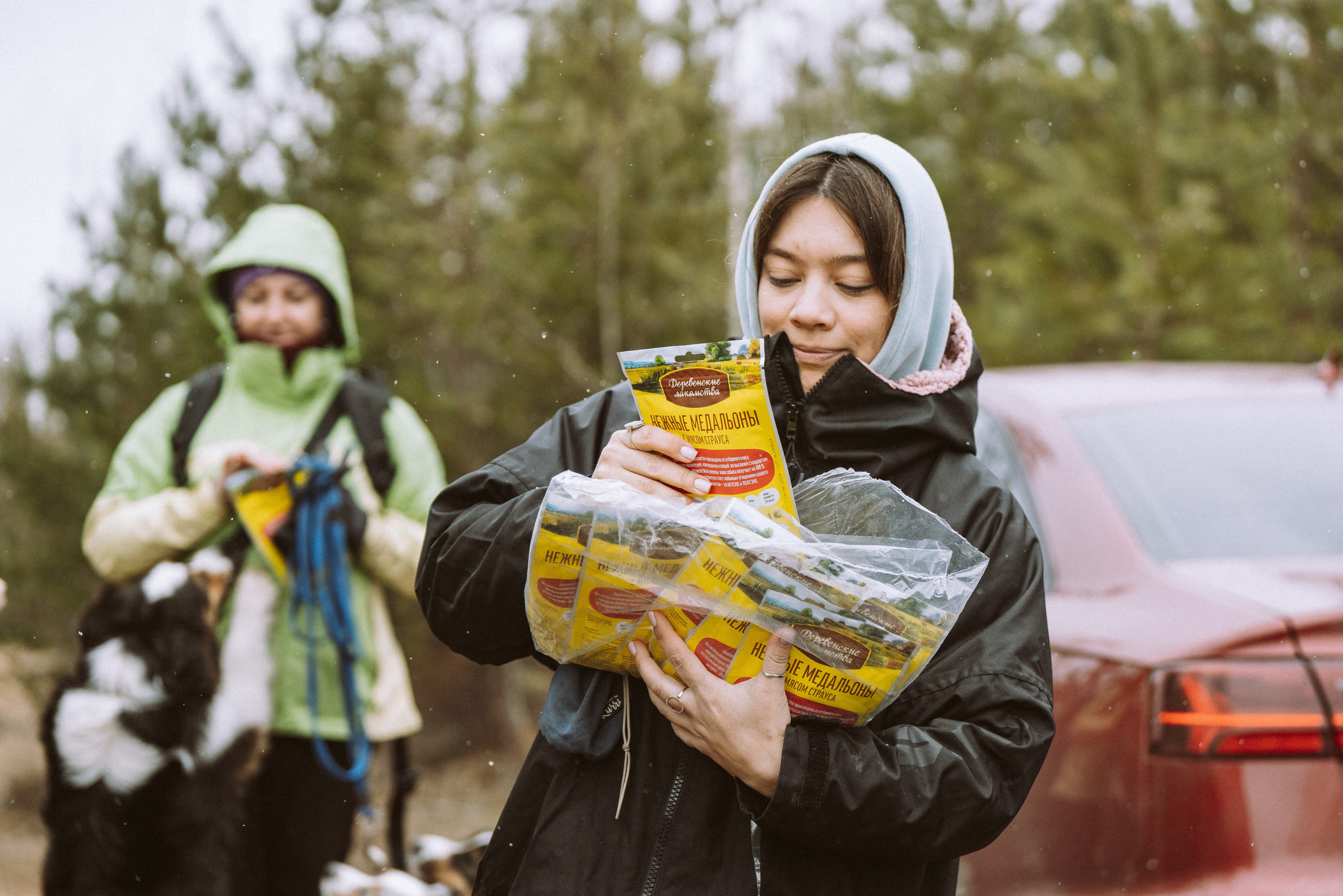 Дог трекинг к финскому хутору. Фотограф анималист в Спб недорого Олеся Майорова