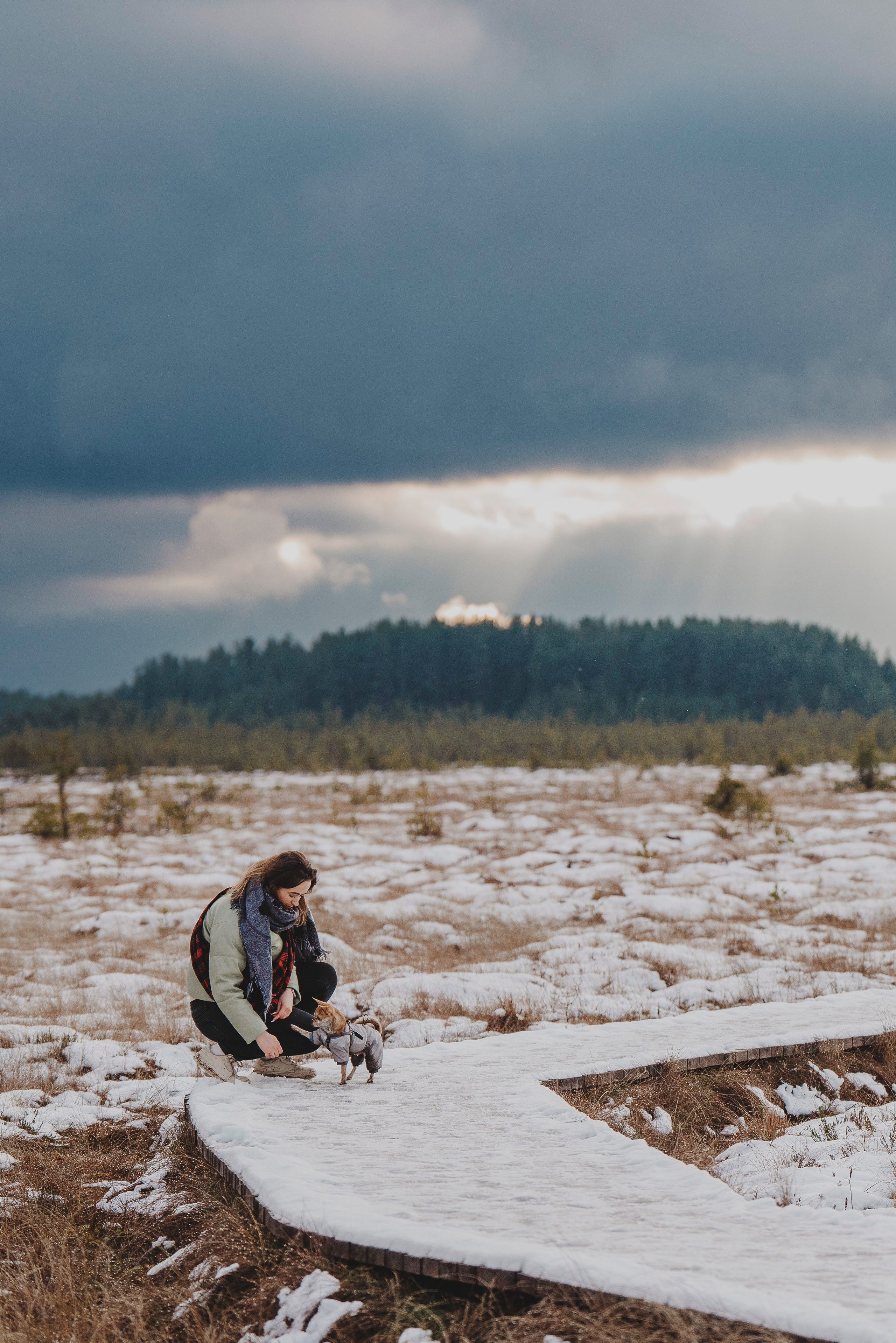 Наталия и Боря. Фотограф анималист в Спб недорого Олеся Майорова