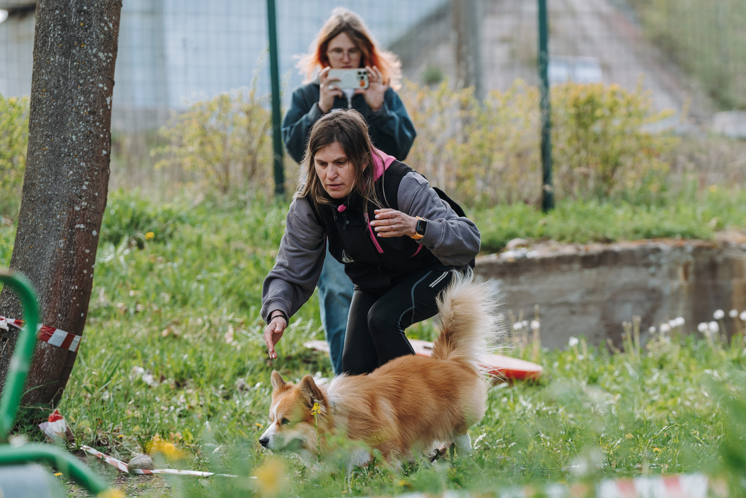 Соревнования по ноузворку в Лосево. Фотограф анималист в Спб недорого Олеся Майорова