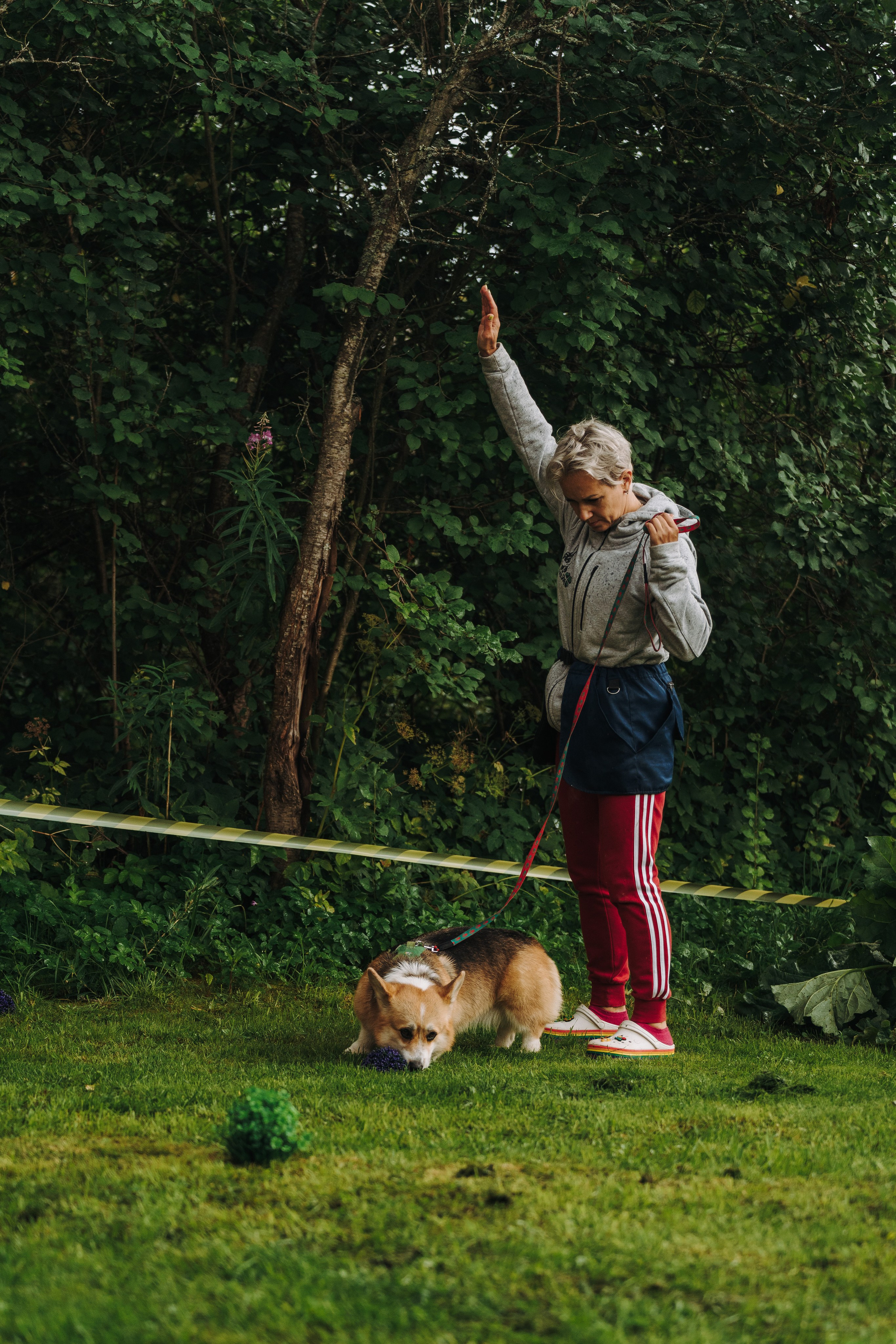 Соревнования по ноузворку в Новожилово. Фотограф анималист в Спб недорого Олеся Майорова