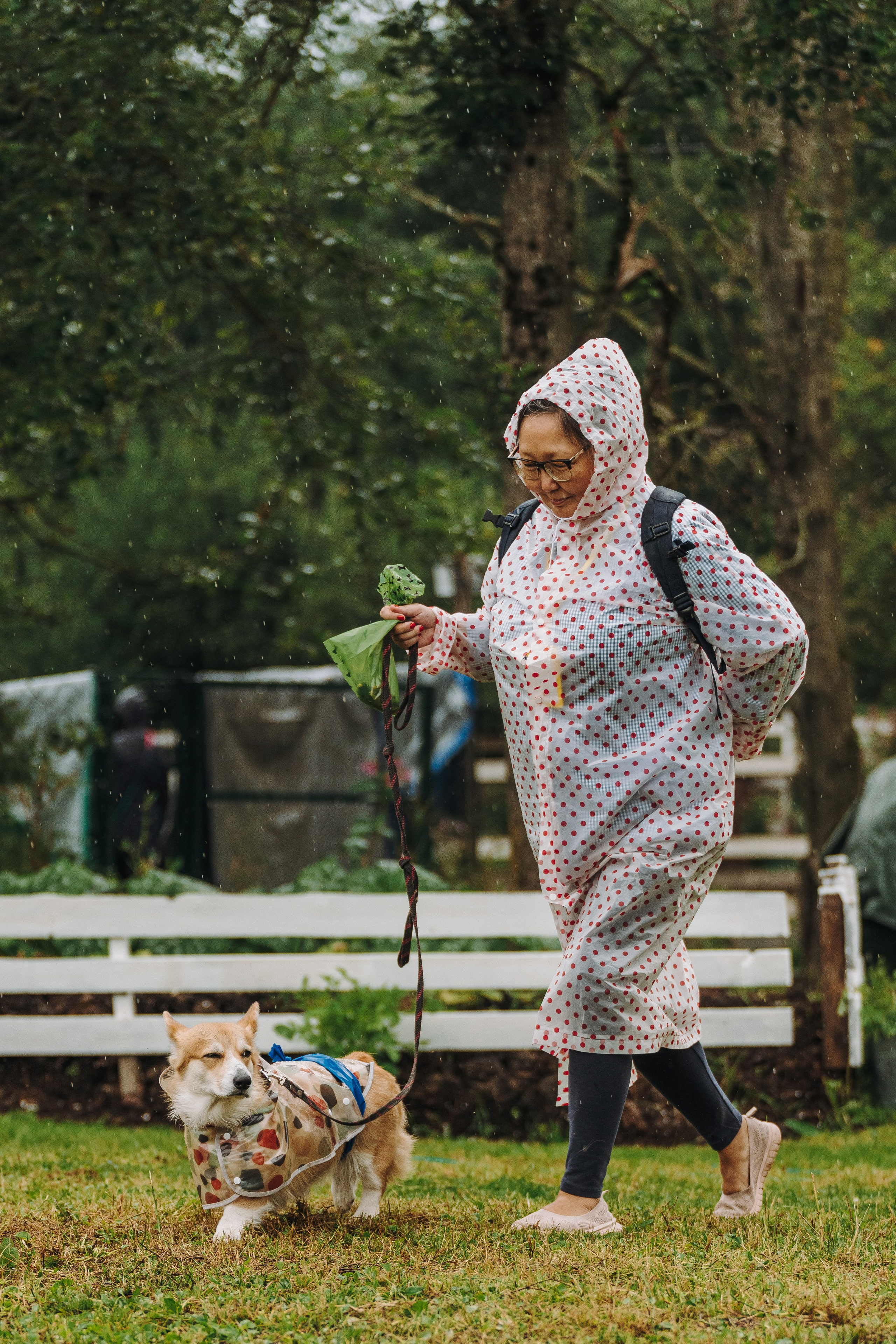 Соревнования по ноузворку в Новожилово. Фотограф анималист в Спб недорого Олеся Майорова