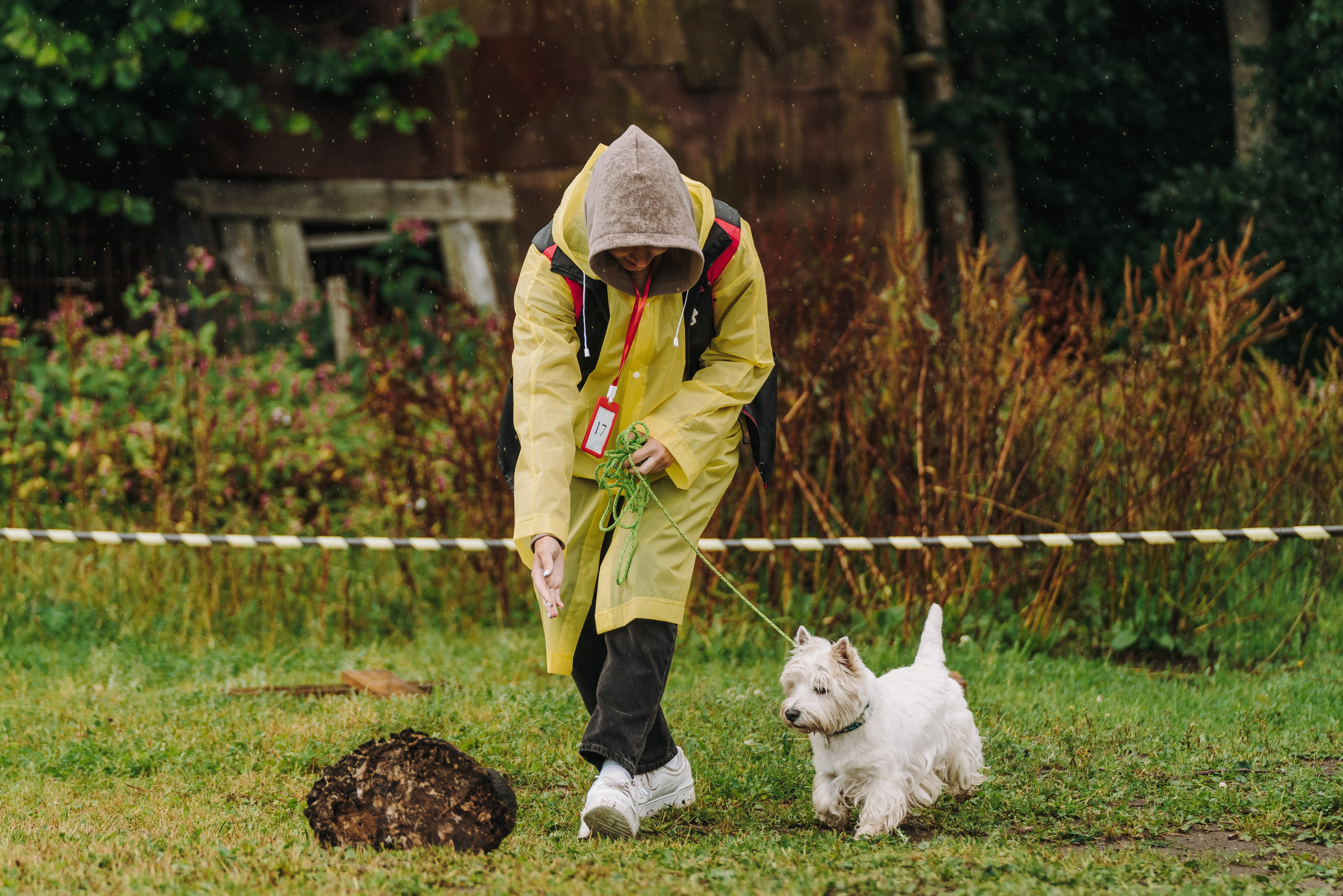 Соревнования по ноузворку в Новожилово. Фотограф анималист в Спб недорого Олеся Майорова