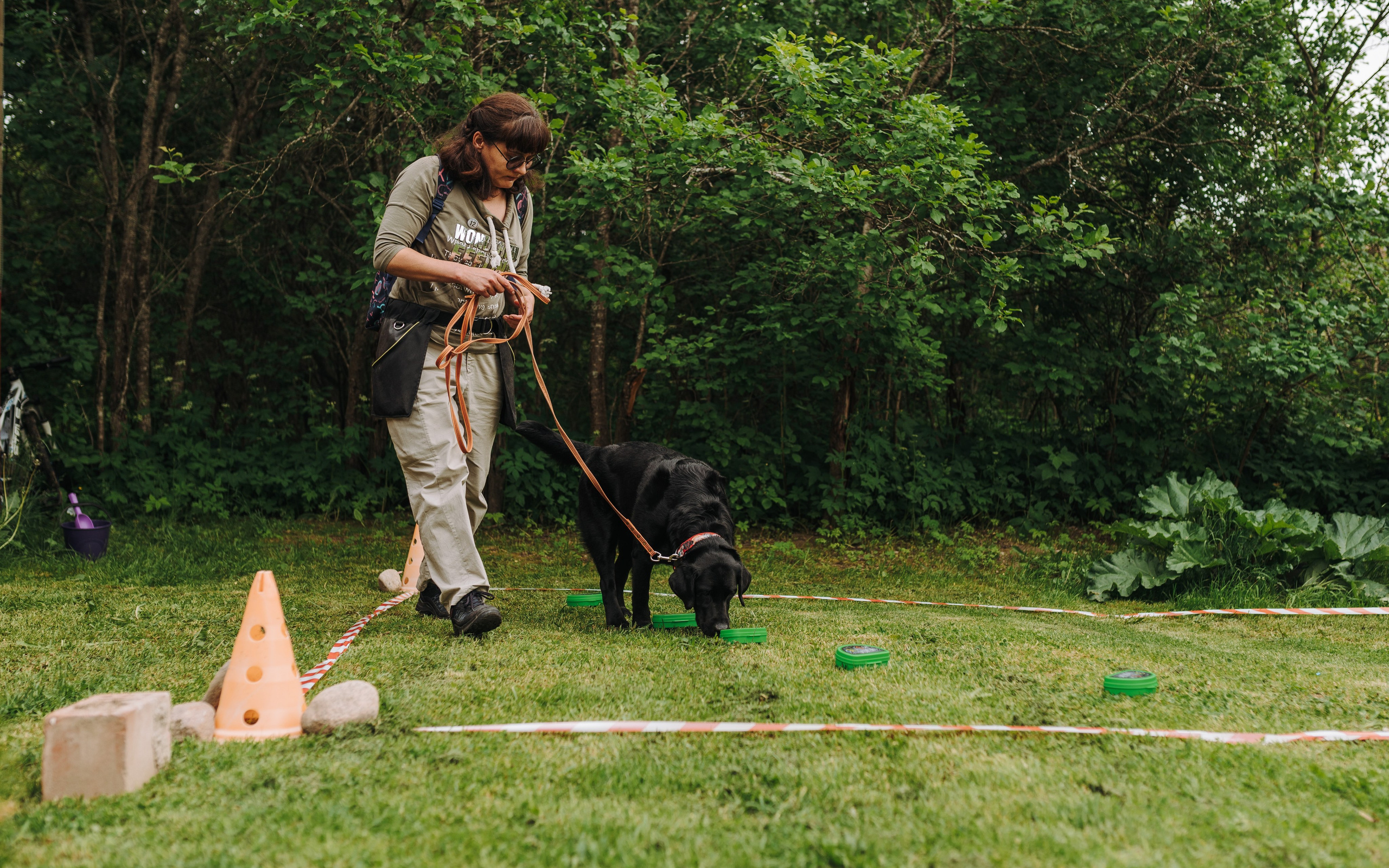Соревнования по ноузворку. Фотограф анималист в Спб недорого Олеся Майорова