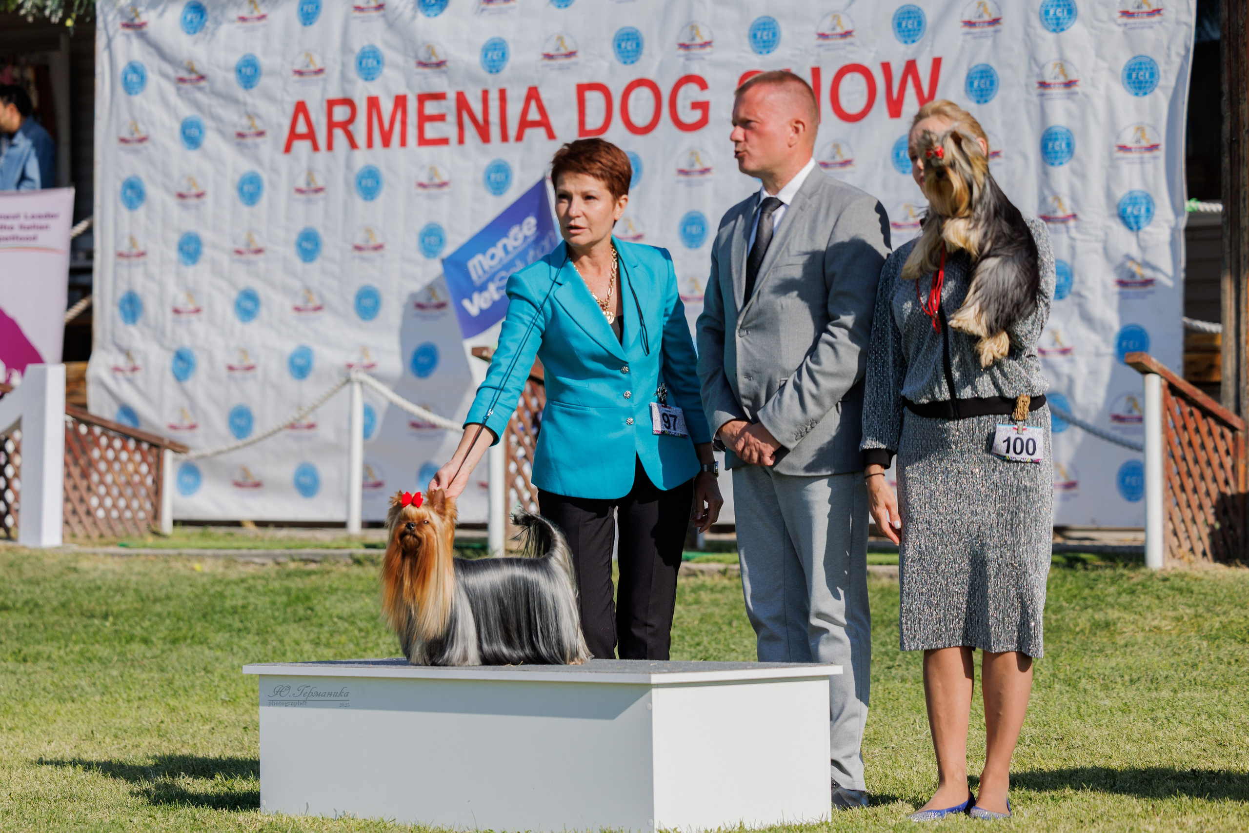 Ереван 14-16.10.2025. Фотограф-анималист Юлия Германика