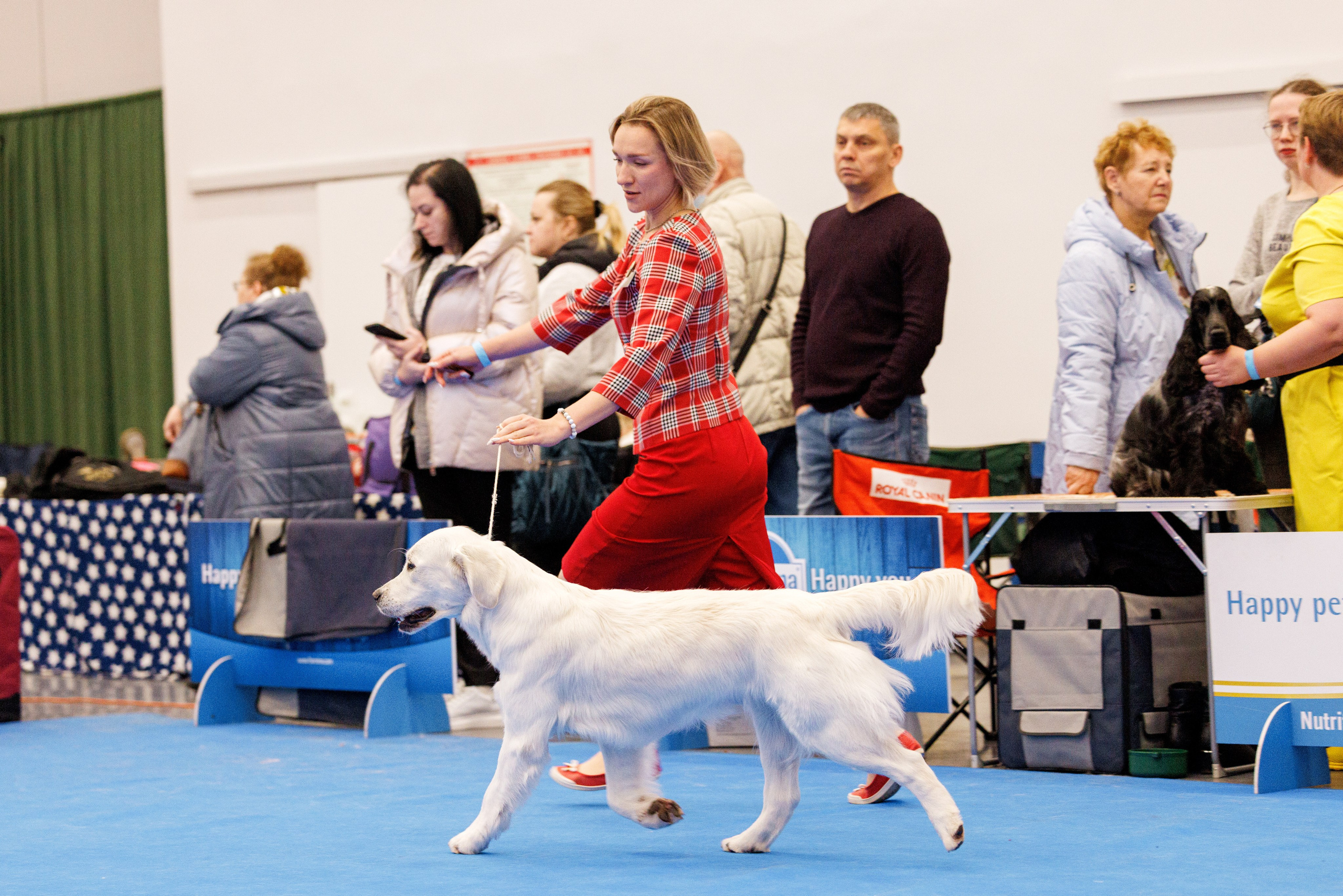 Нижний Новгород 21-22.10.2023. Фотограф-анималист Юлия Германика