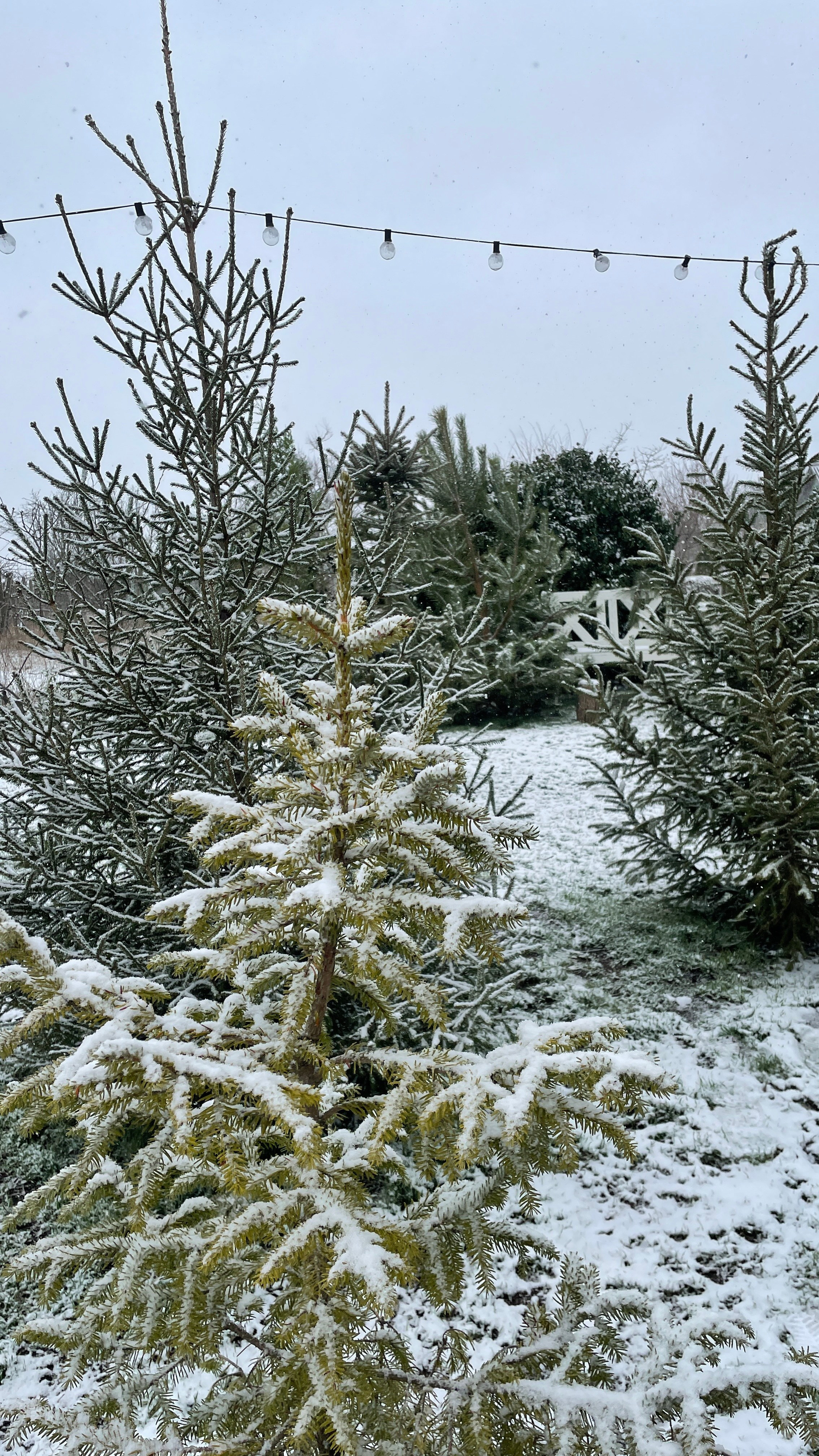 Зима. Фотостудия Натальи Забродской