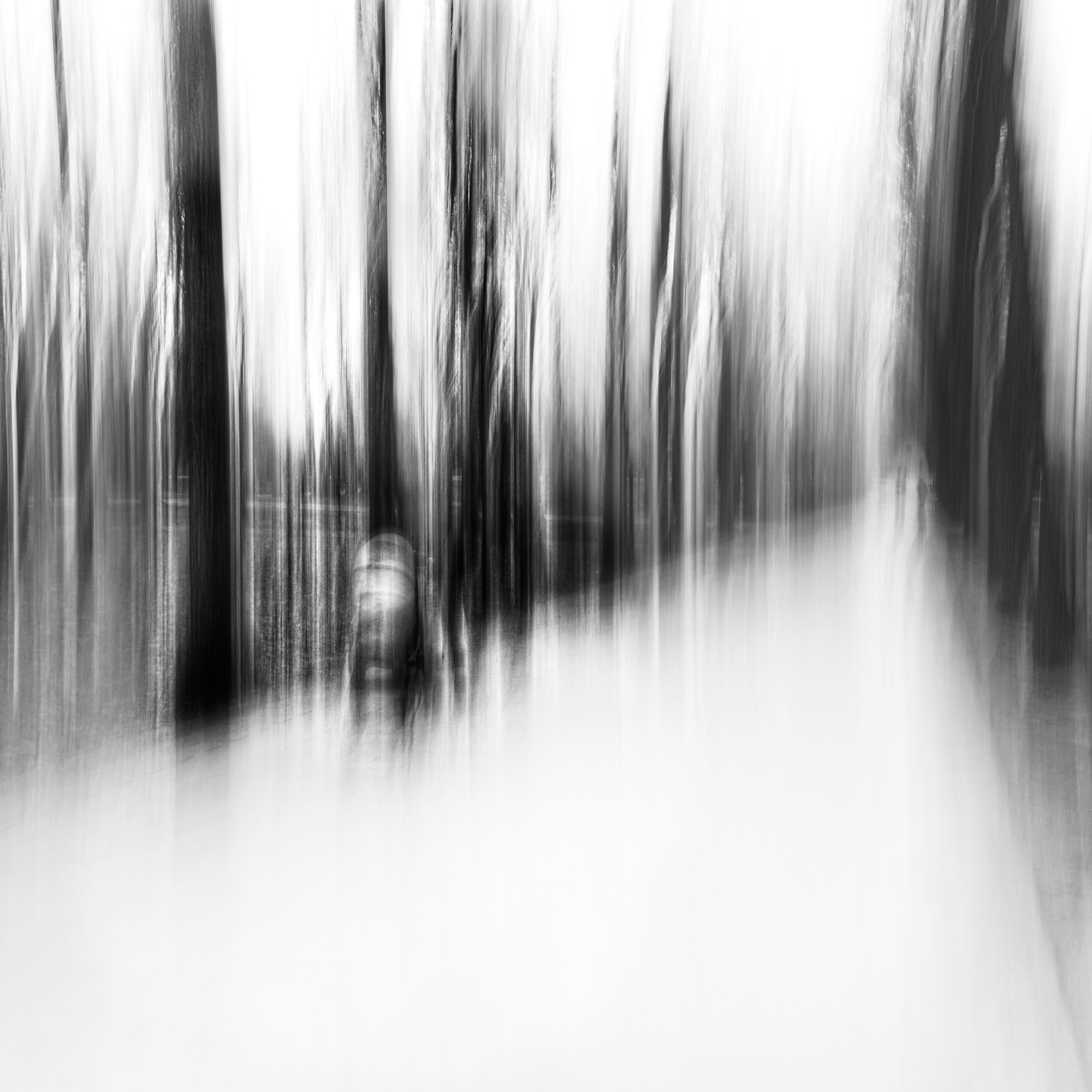 Primavera. Metagraphy