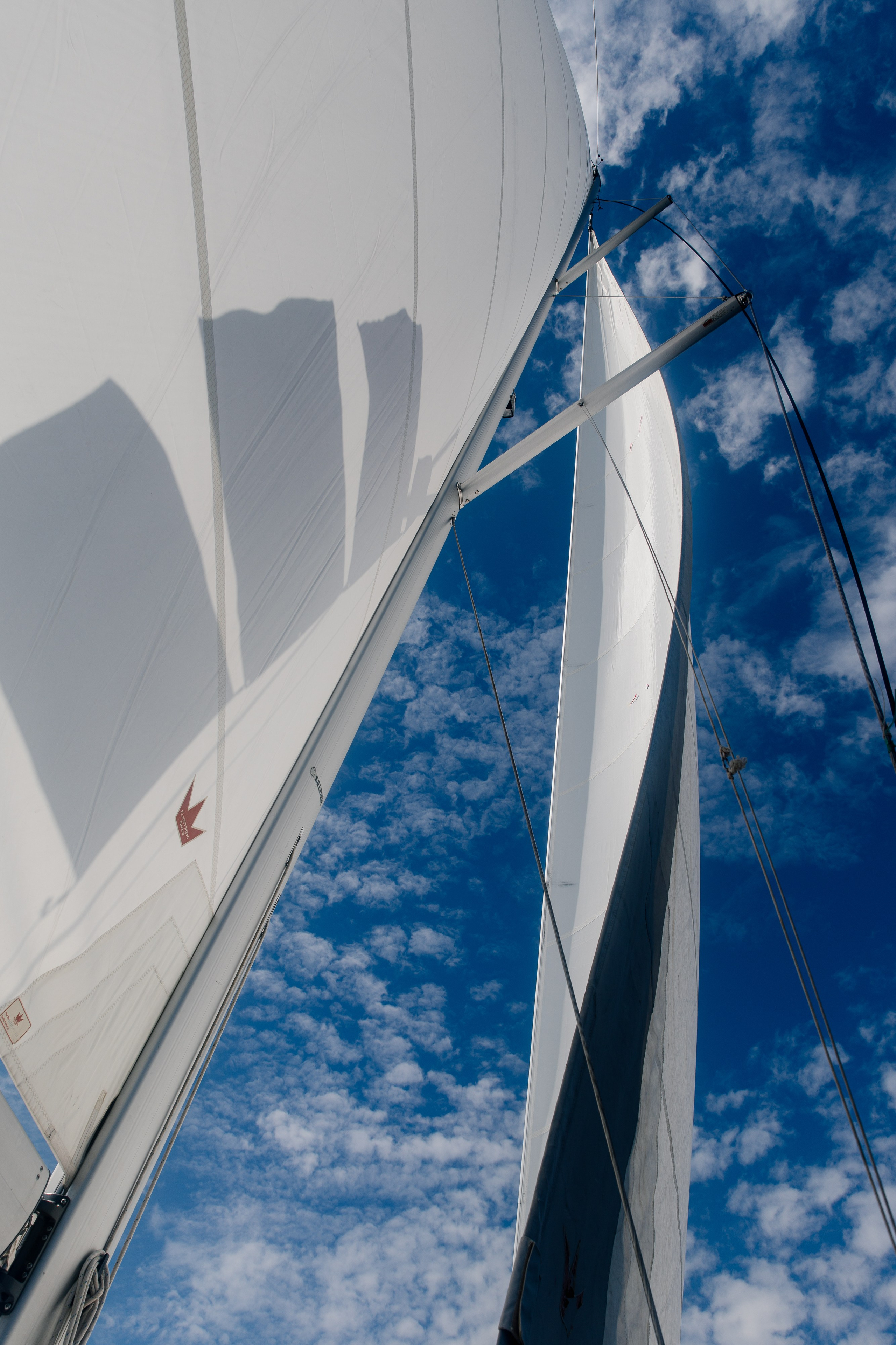 Фармрегата. Свадебный фотограф Москва Анна Шилова