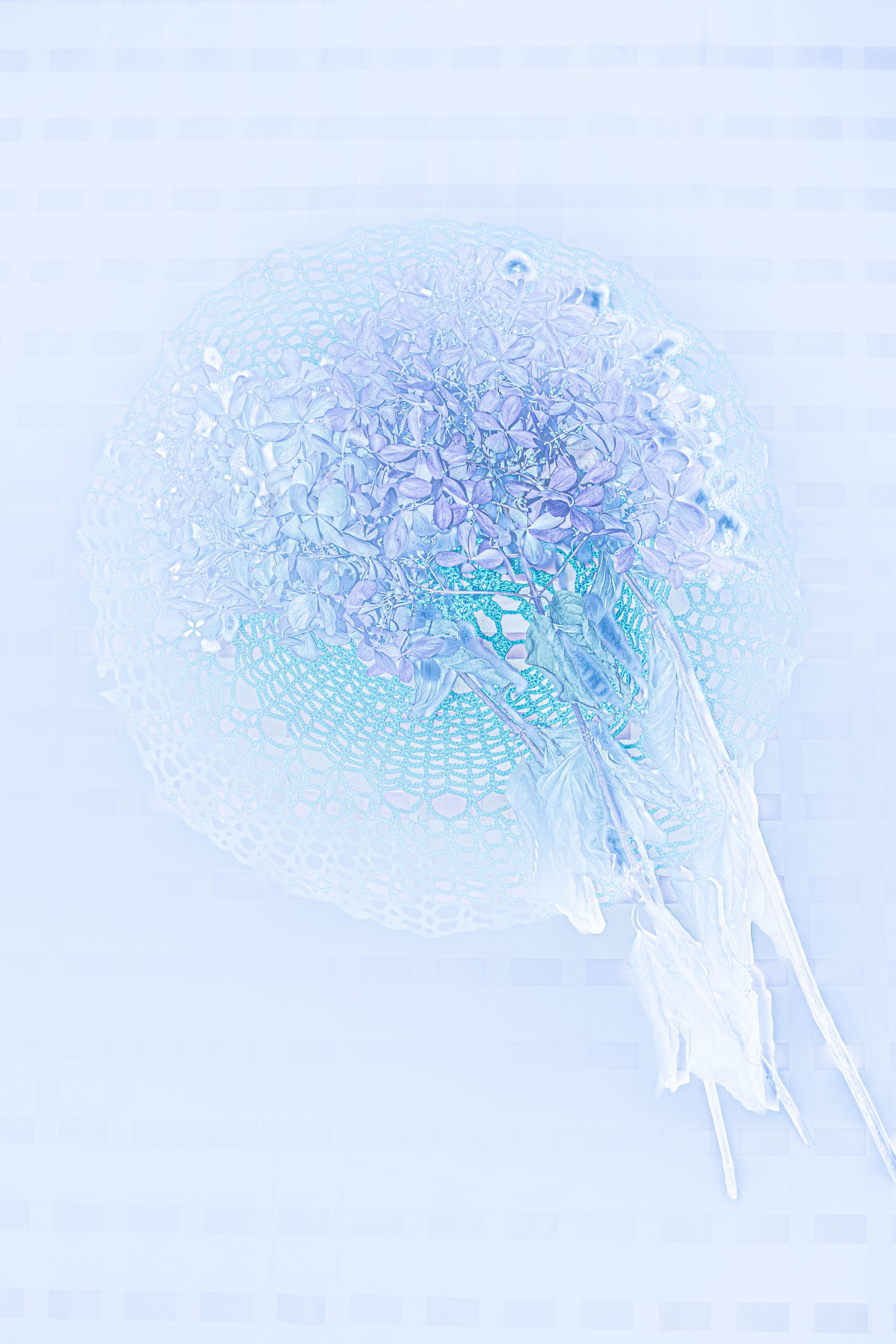 ПРИНТЫ. Виктория Князева| фотограф из Санкт-Петербурга