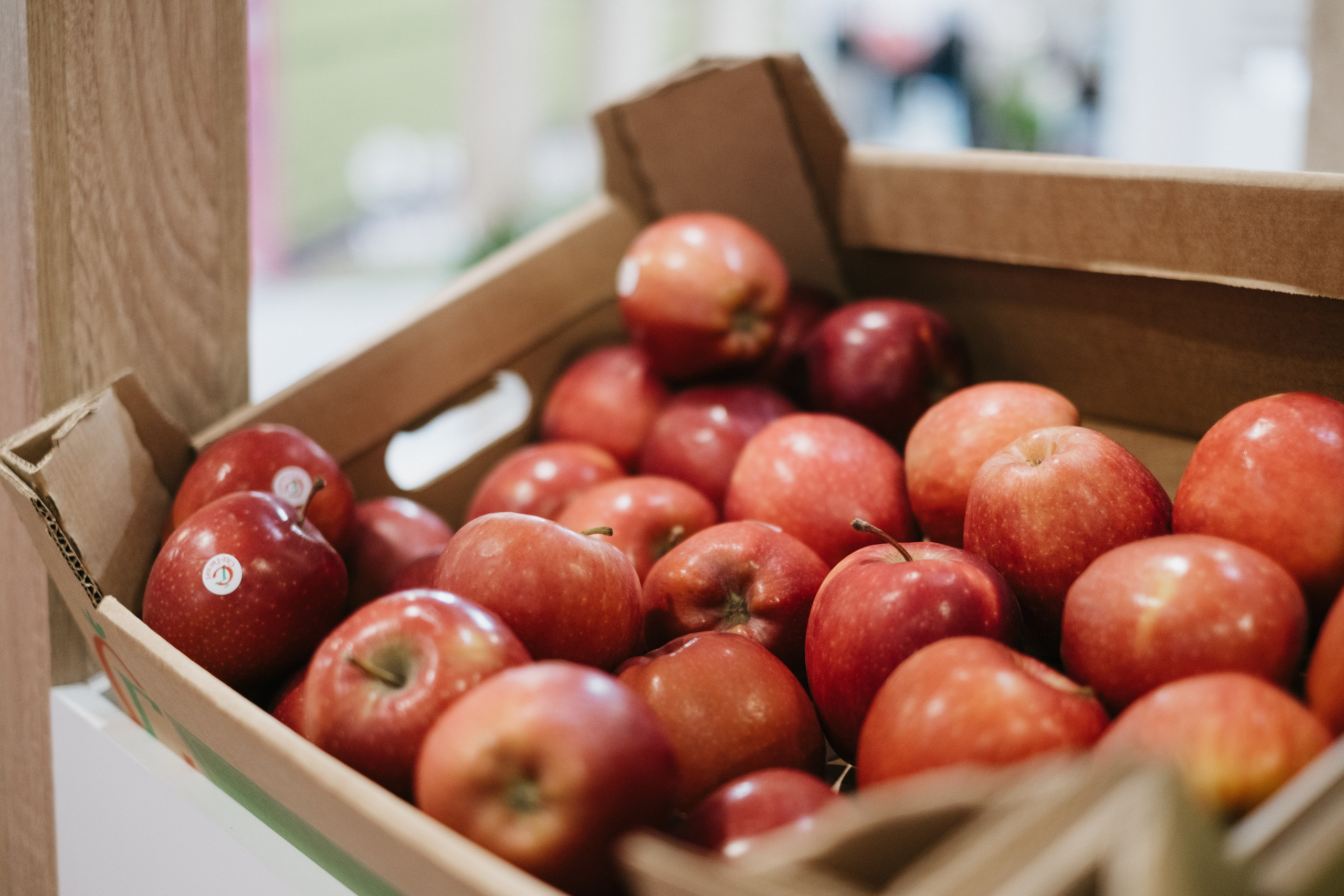 Выставка Fruit Trade: Сады и&nbsp;Виноградники в&nbsp;Краснодаре 18–19&nbsp;февраля 2025 года на&nbsp;площадке Экспоград-Юг