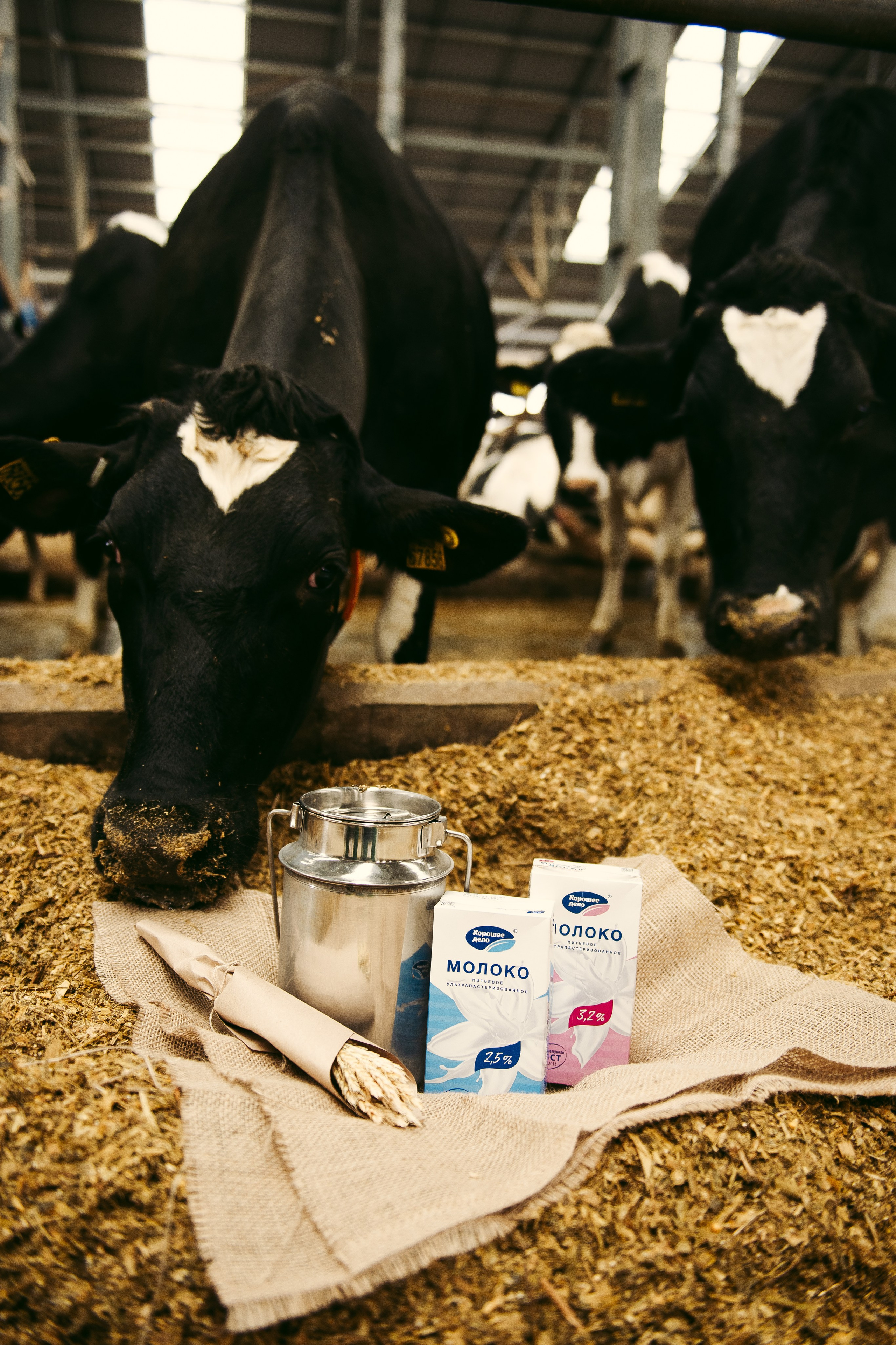 Хорошее дело I Дубенки. Фотограф в Республике Мордовия София Сержантова