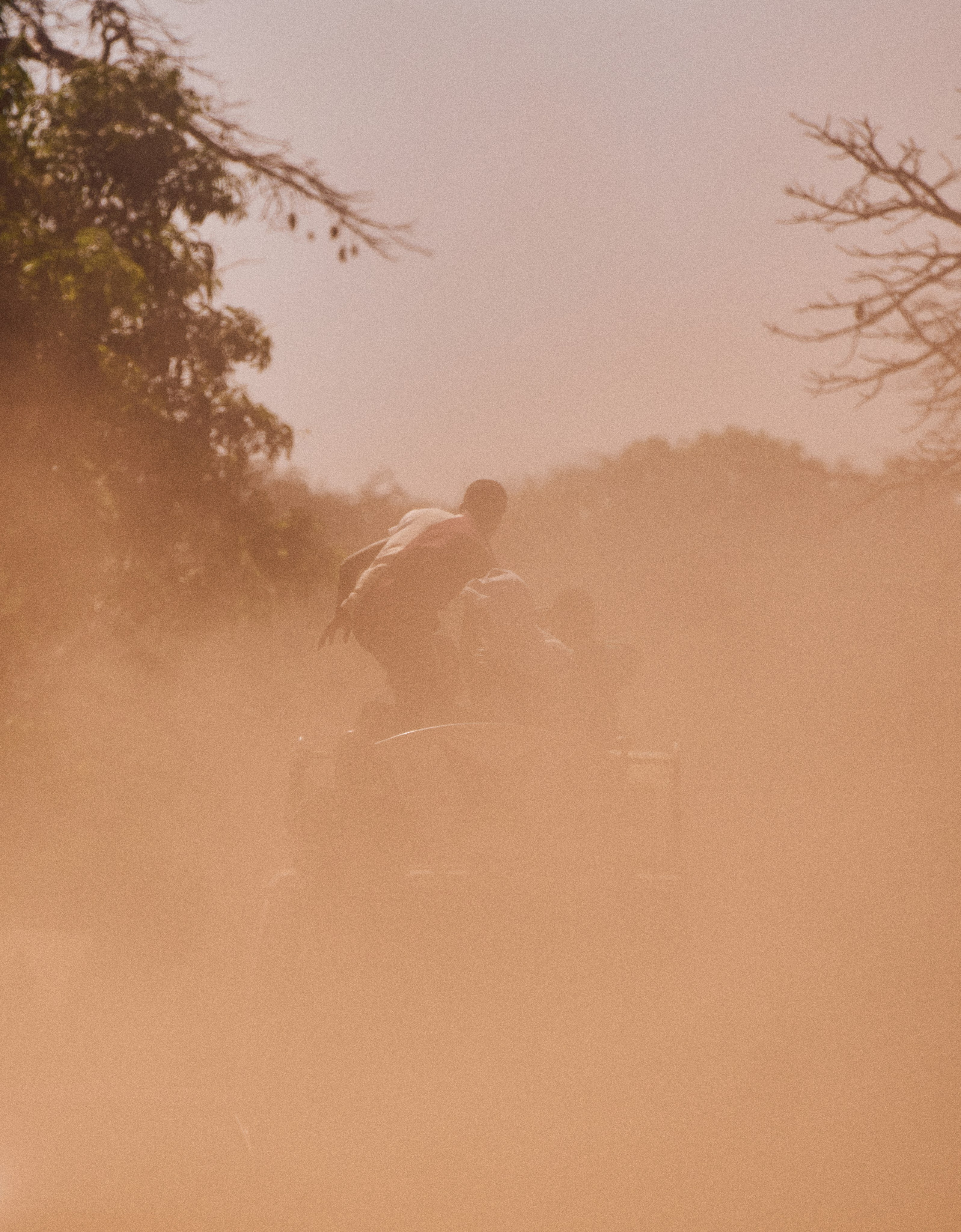 Gambia River. See the moment and catche. commercial and reportage