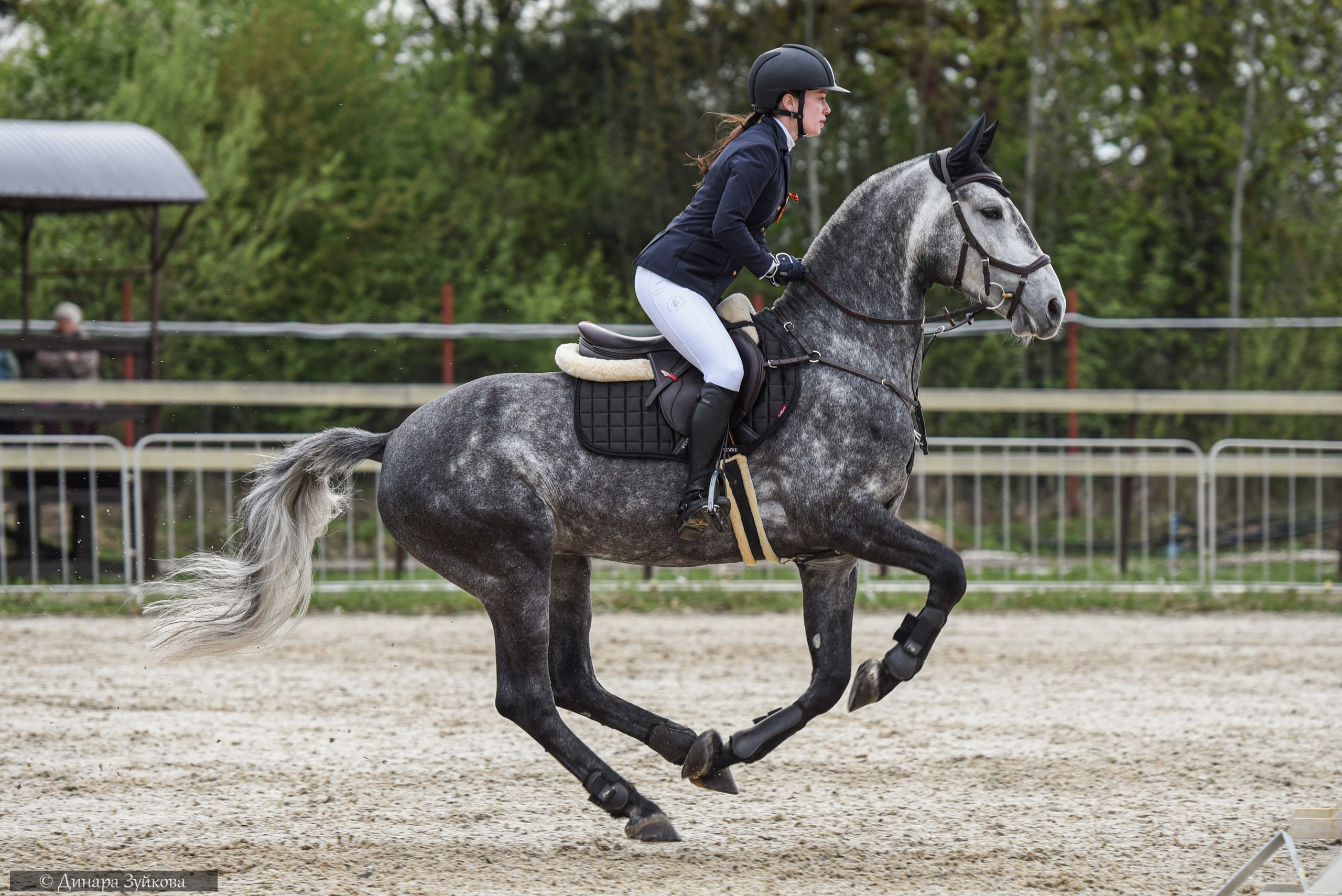 Кони. Мотофотограф в Нижнем Новгороде Динара Зуйкова