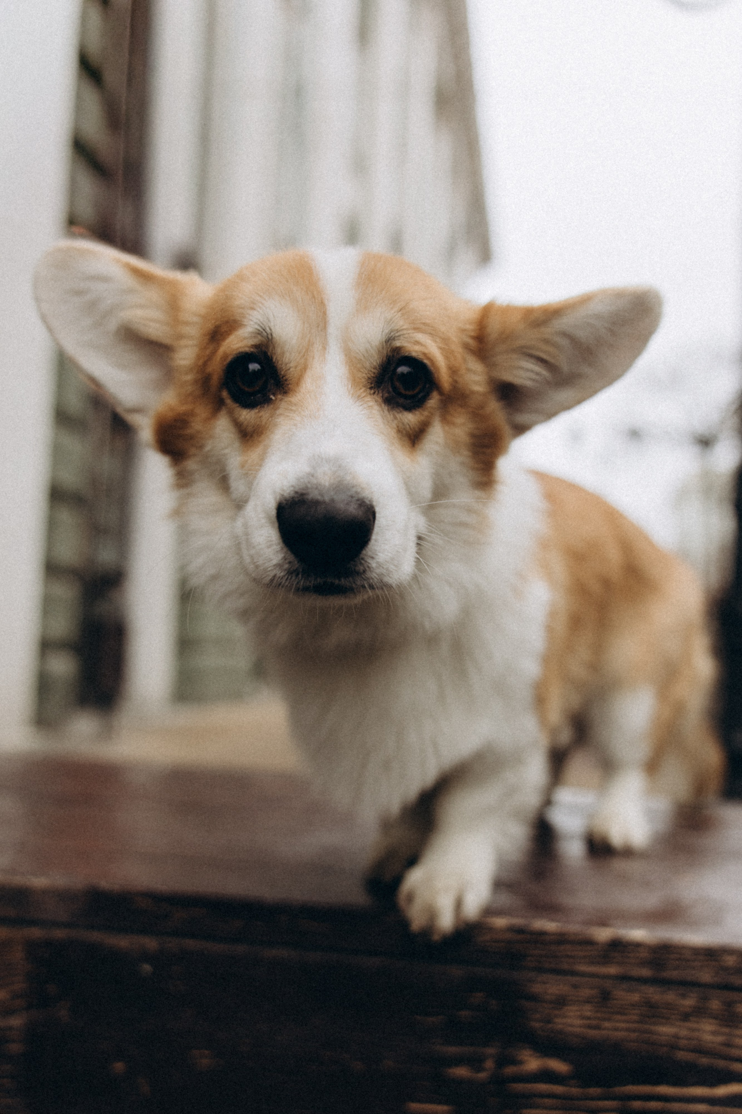 Николь и Богдан