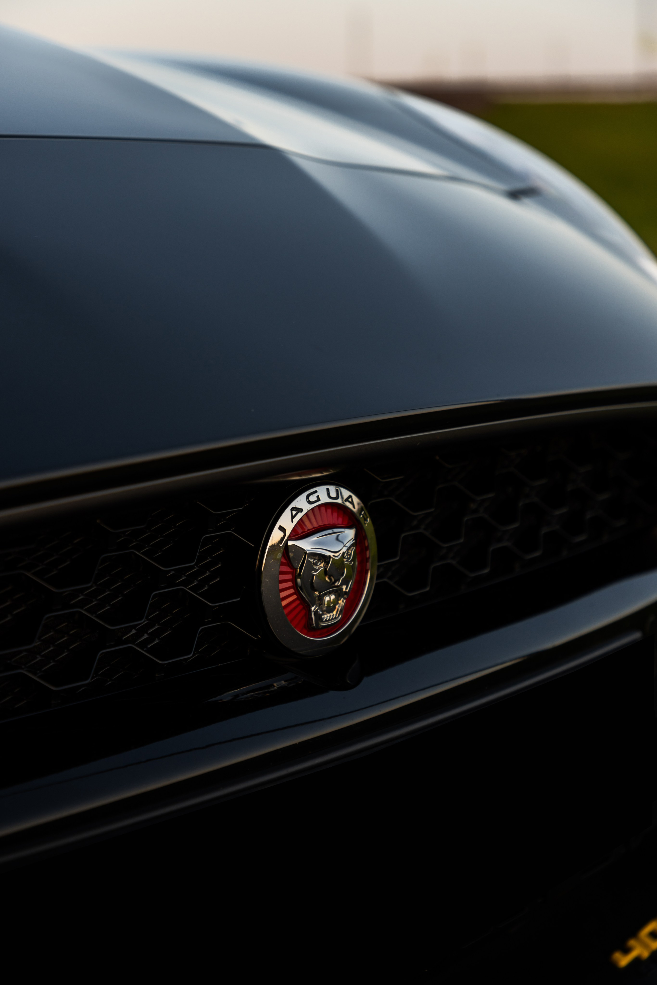 Jaguar F-type. Автомобильный фотограф в Санкт-Петербурге — Илья Kaseone_1