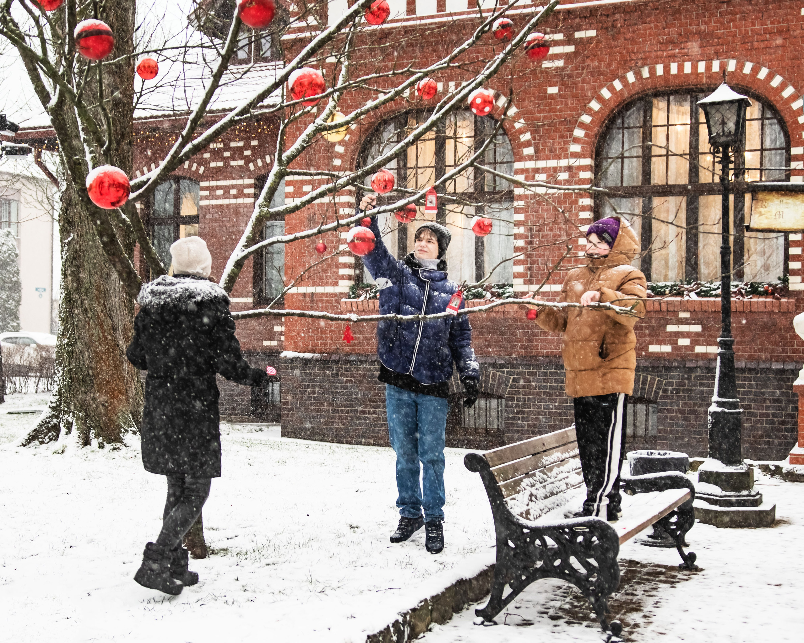 новогодний зеленоградск