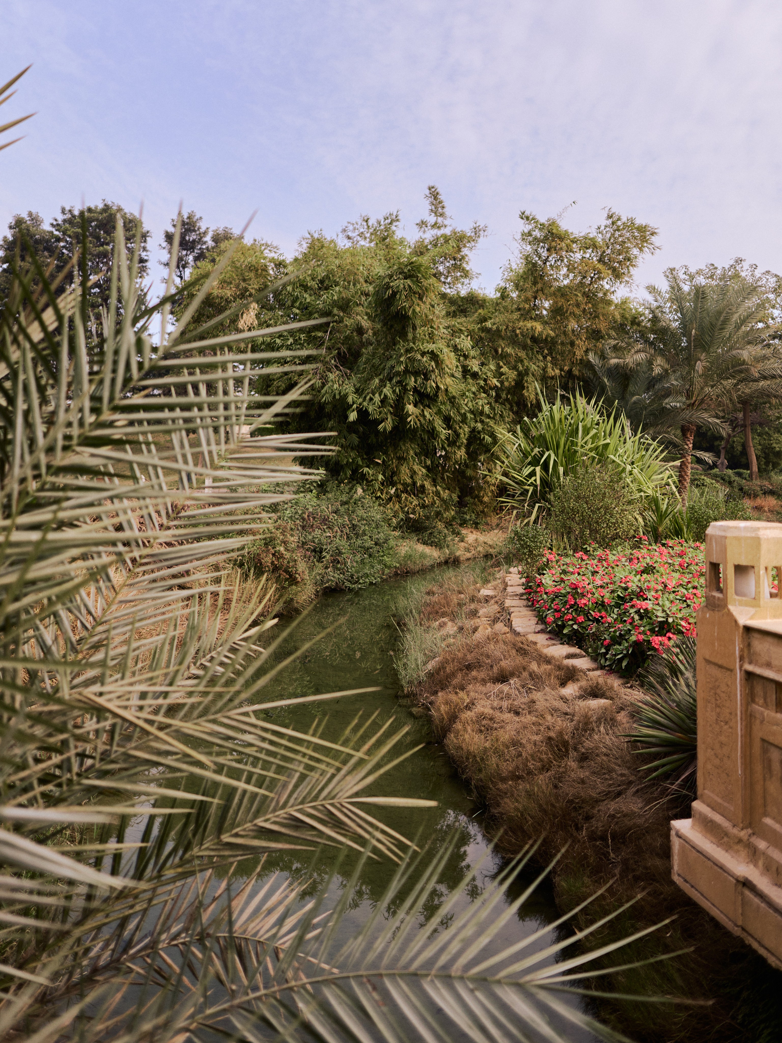 Другое 4. Jorgis — фотограф в Хургаде / обучение фотографии